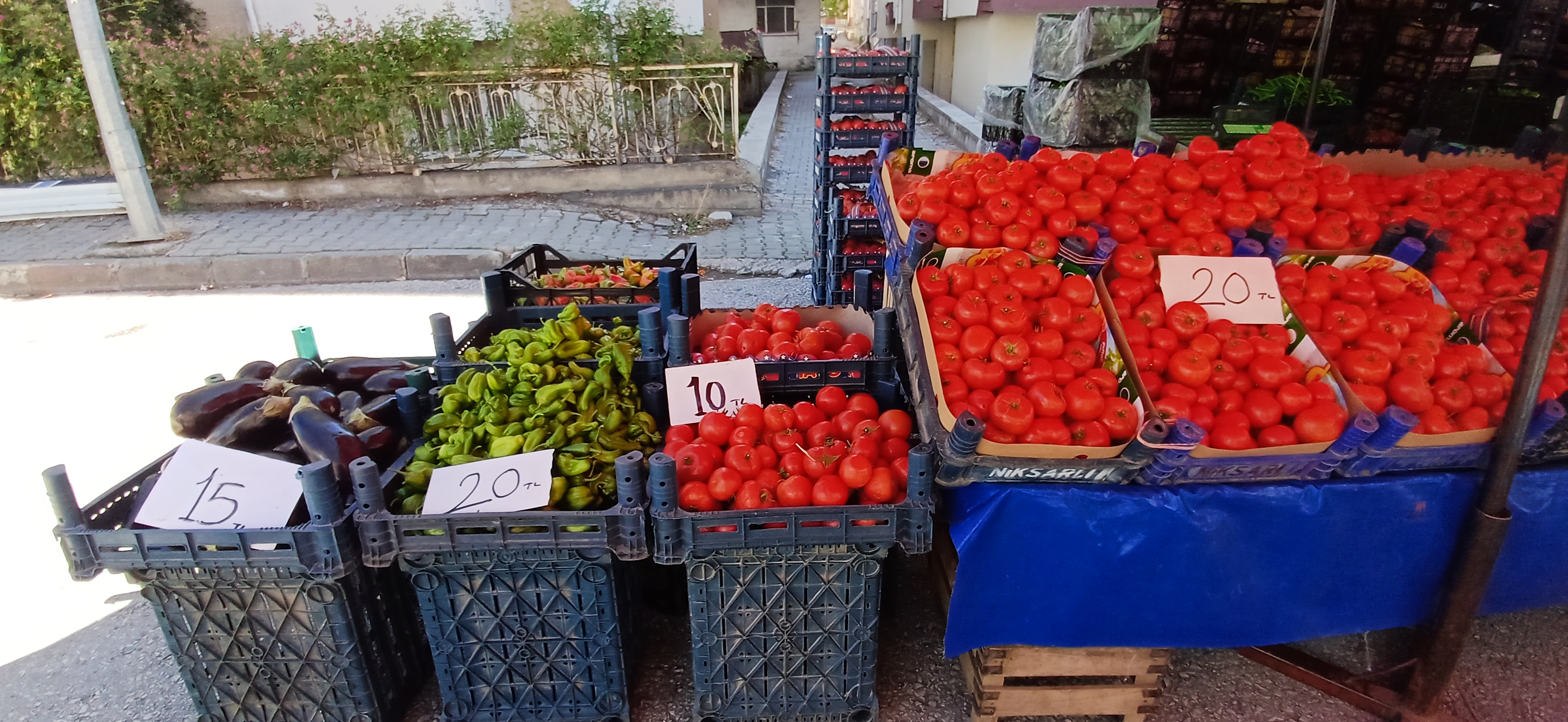 Çarşamba Pazar’ında Sebze Meyvelerde Güncel Fiyatları (4)