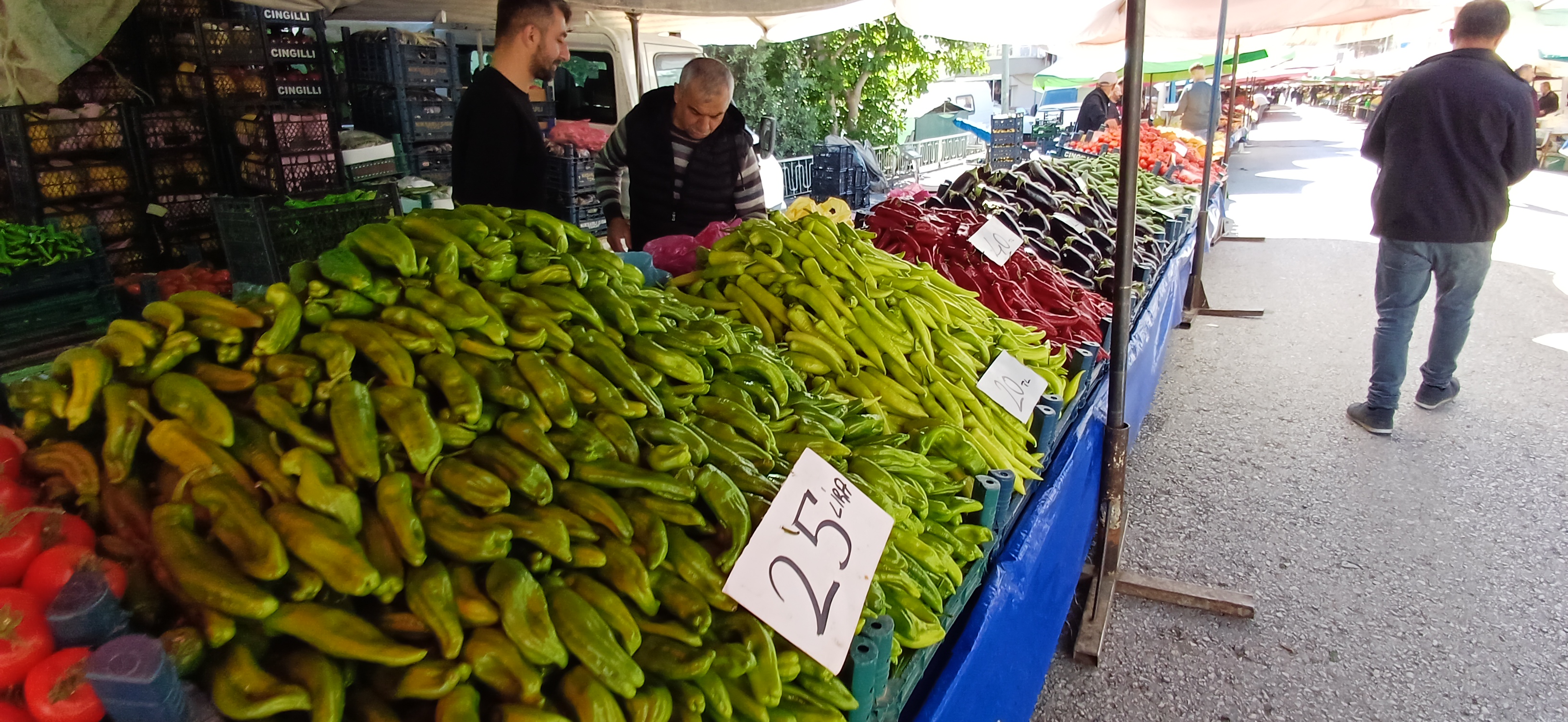 Çarşamba Pazar’ında Sebze Meyvelerde Güncel Fiyatları (6)