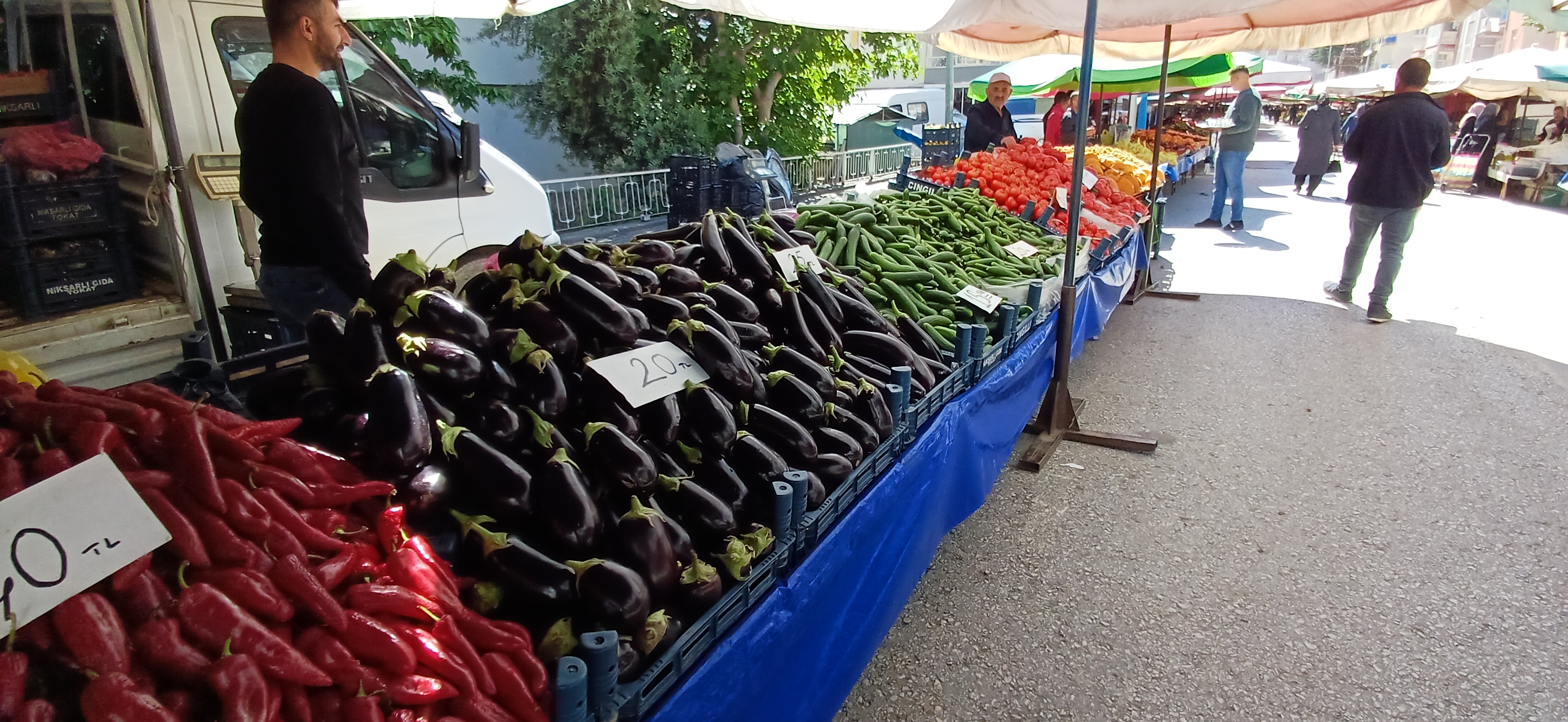 Çarşamba Pazar’ında Sebze Meyvelerde Güncel Fiyatları (7)