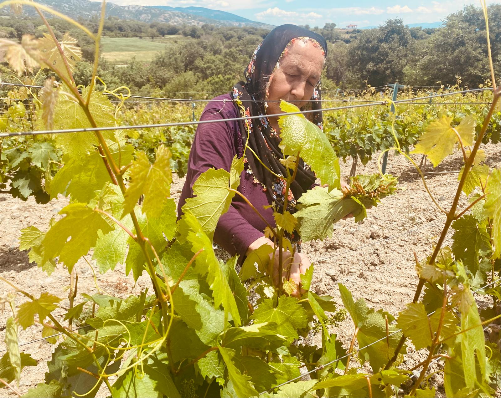 Whatsapp Image 2024 05 15 At 21.14.46