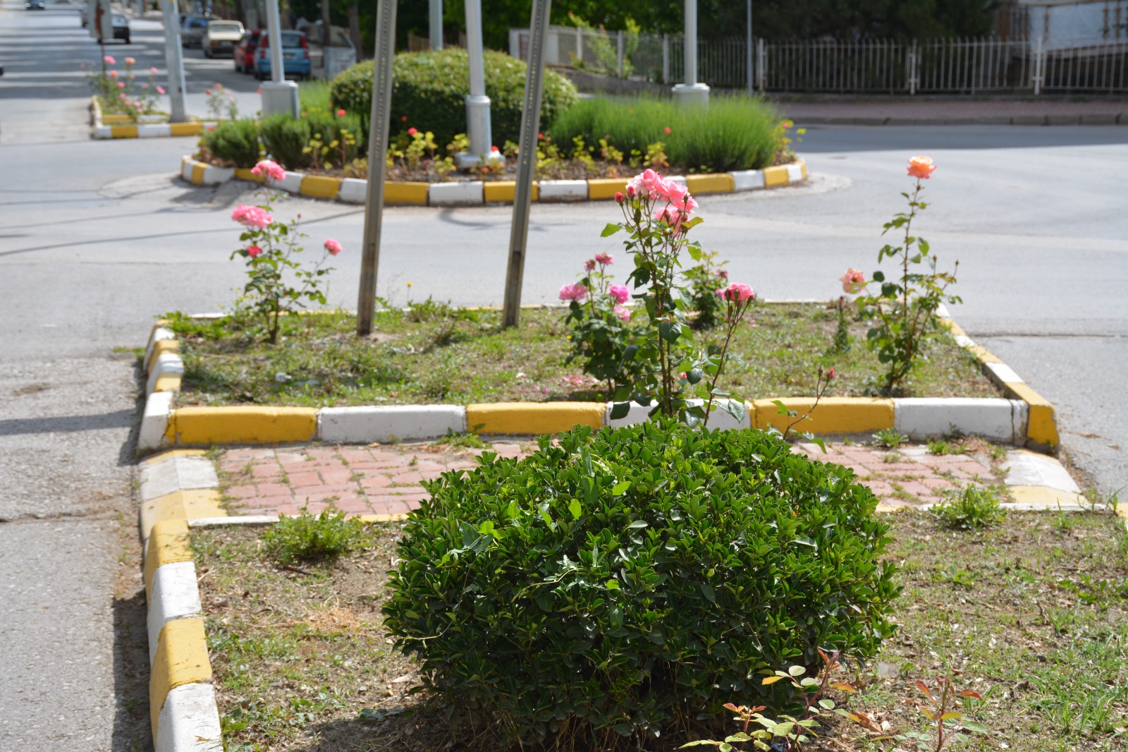 Whatsapp Image 2024 05 21 At 11.13.53