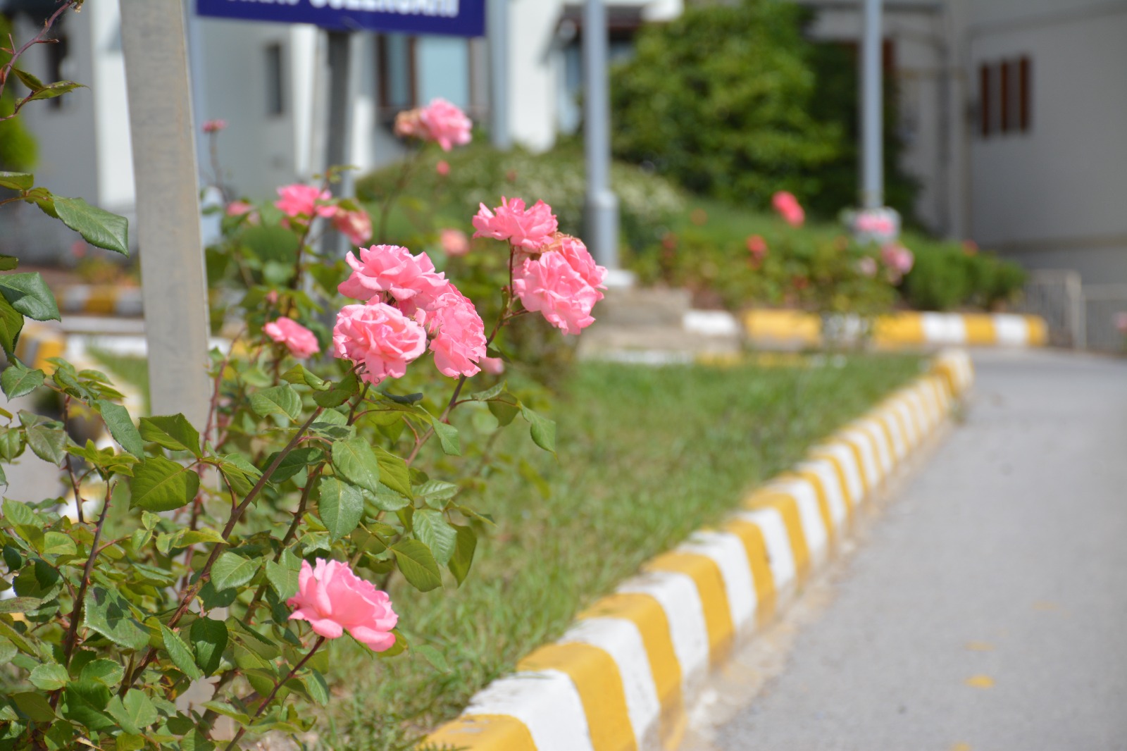 Whatsapp Image 2024 05 21 At 11.13.54