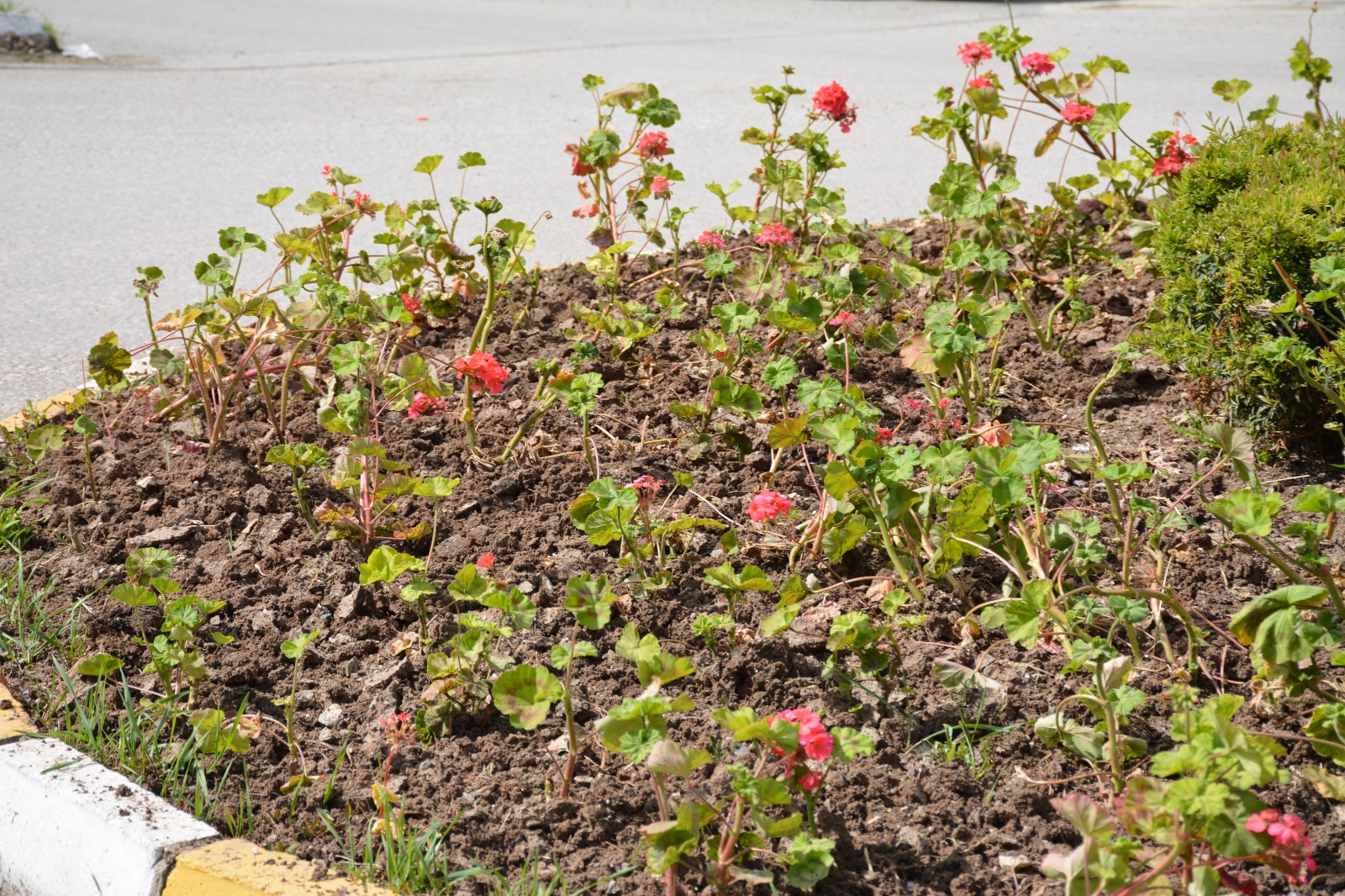 Whatsapp Image 2024 05 21 At 11.13.55 (1)