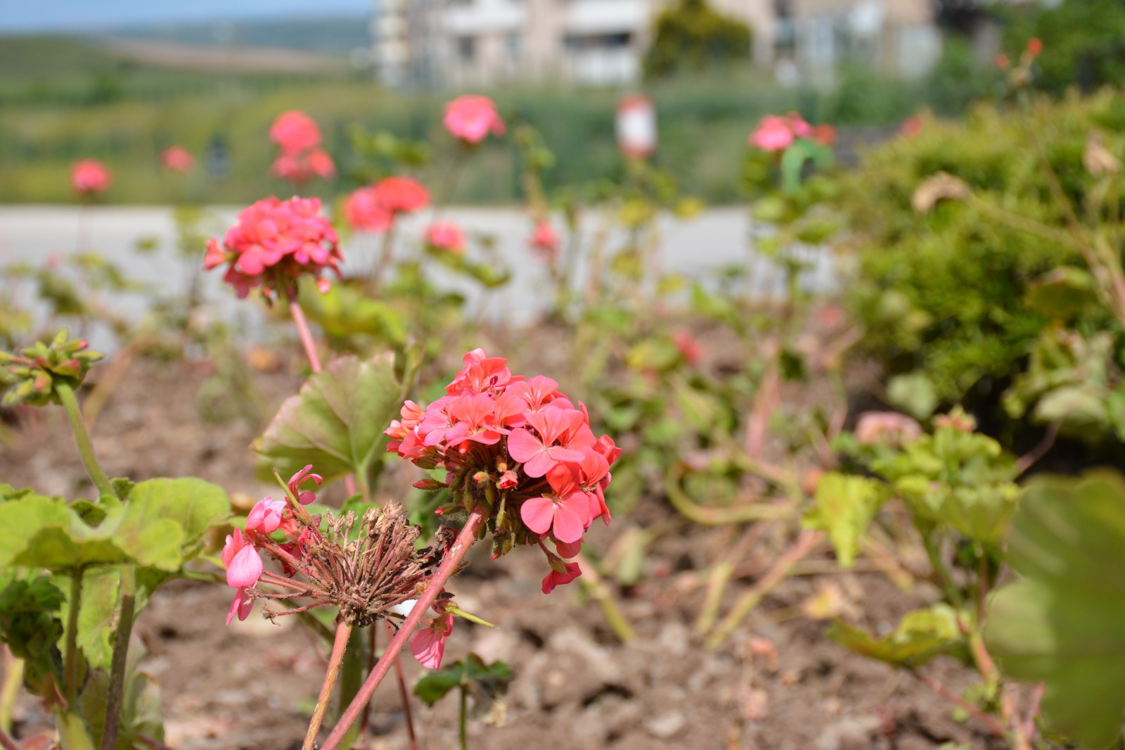 Whatsapp Image 2024 05 21 At 11.13.55