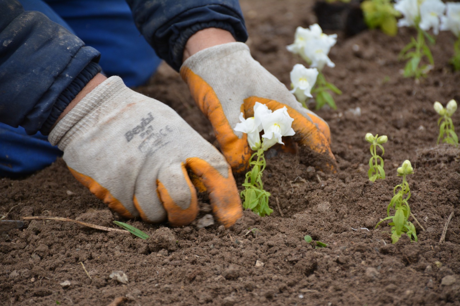 Whatsapp Image 2024 05 21 At 11.13.57