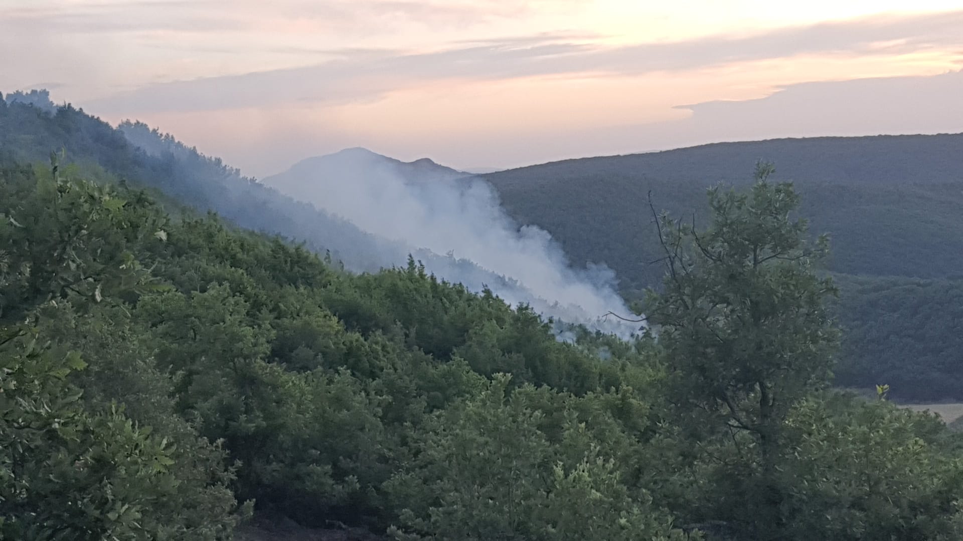 Tokat Zile Çayıroluğu Köyünde Orman Yangını Kontrol Altına Alındı (2)