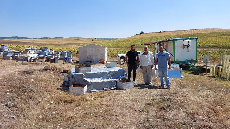 Gezginci Arıcılar Zile'de Çok Mutlu (2)