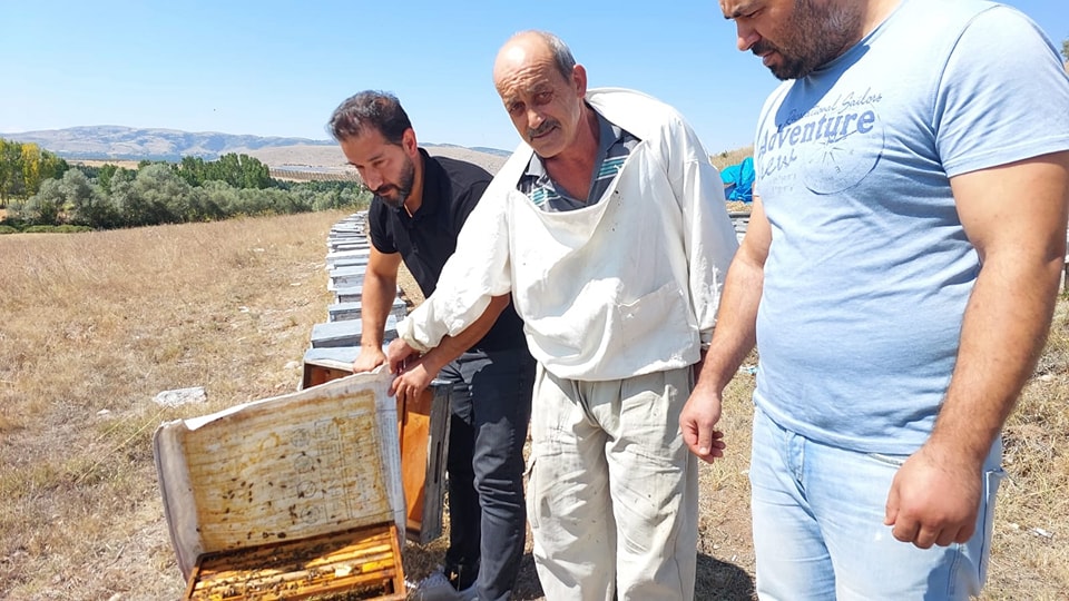 Gezginci Arıcılar Zile'de Çok Mutlu (3)