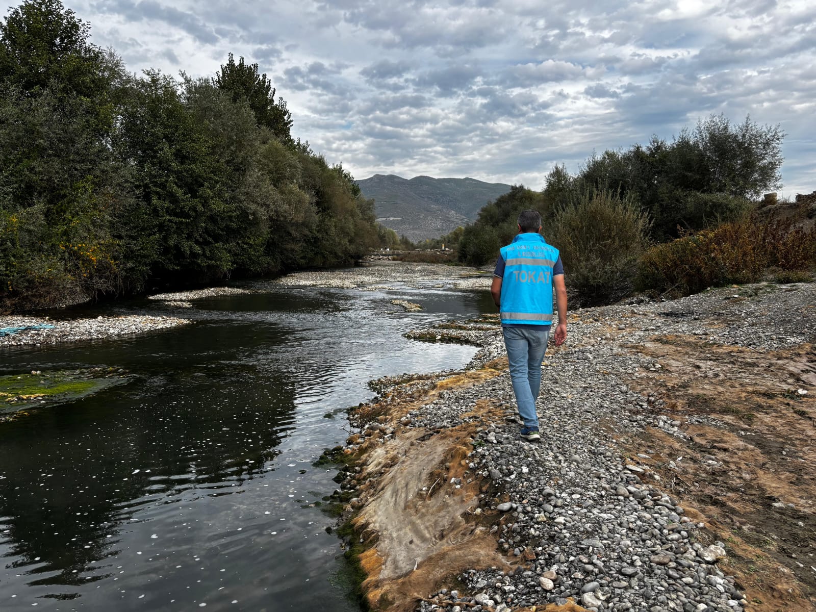 462654626 862643925986685 2162241150604156253 N