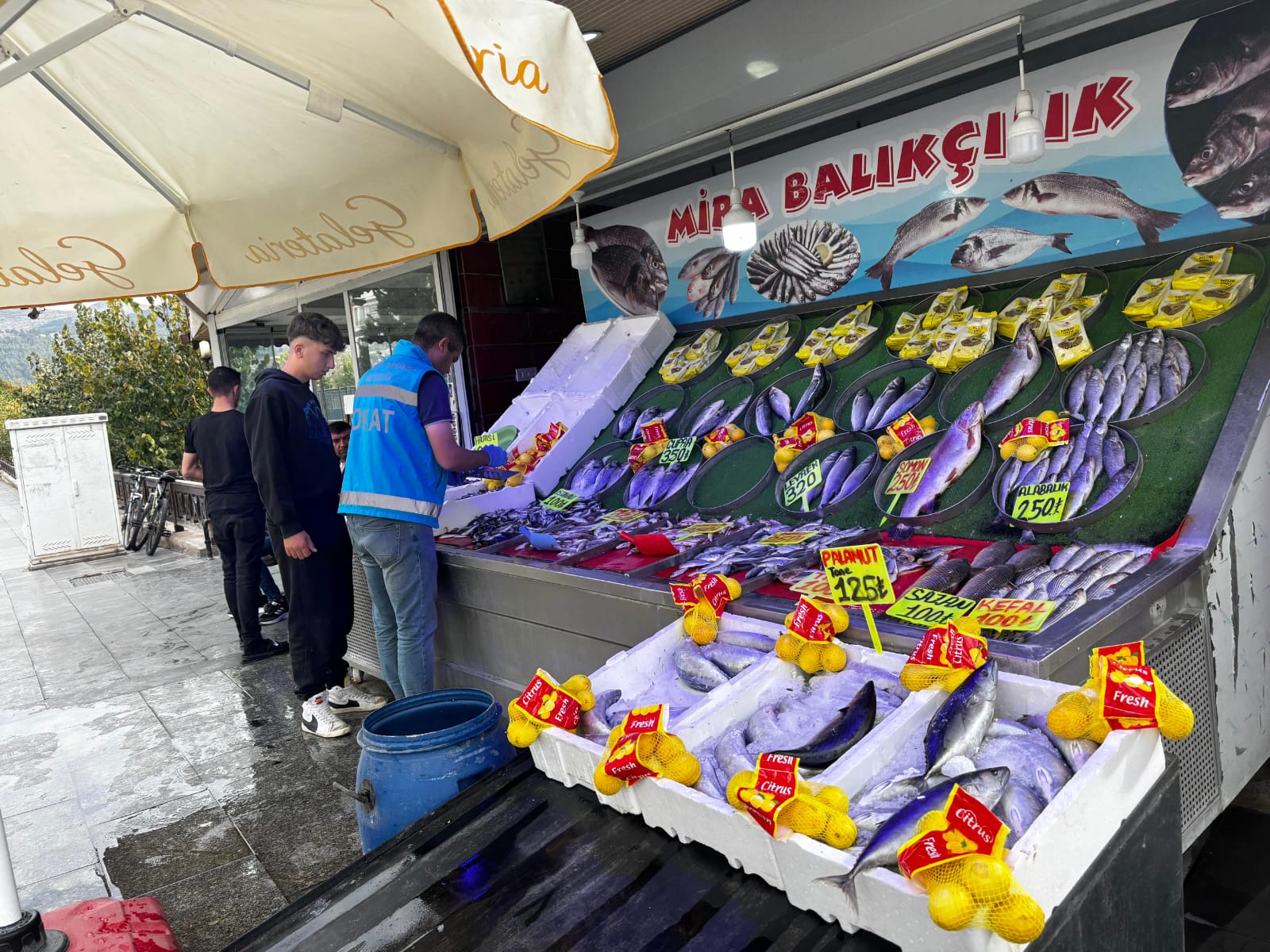 462707279 862643742653370 9100304745531447770 N