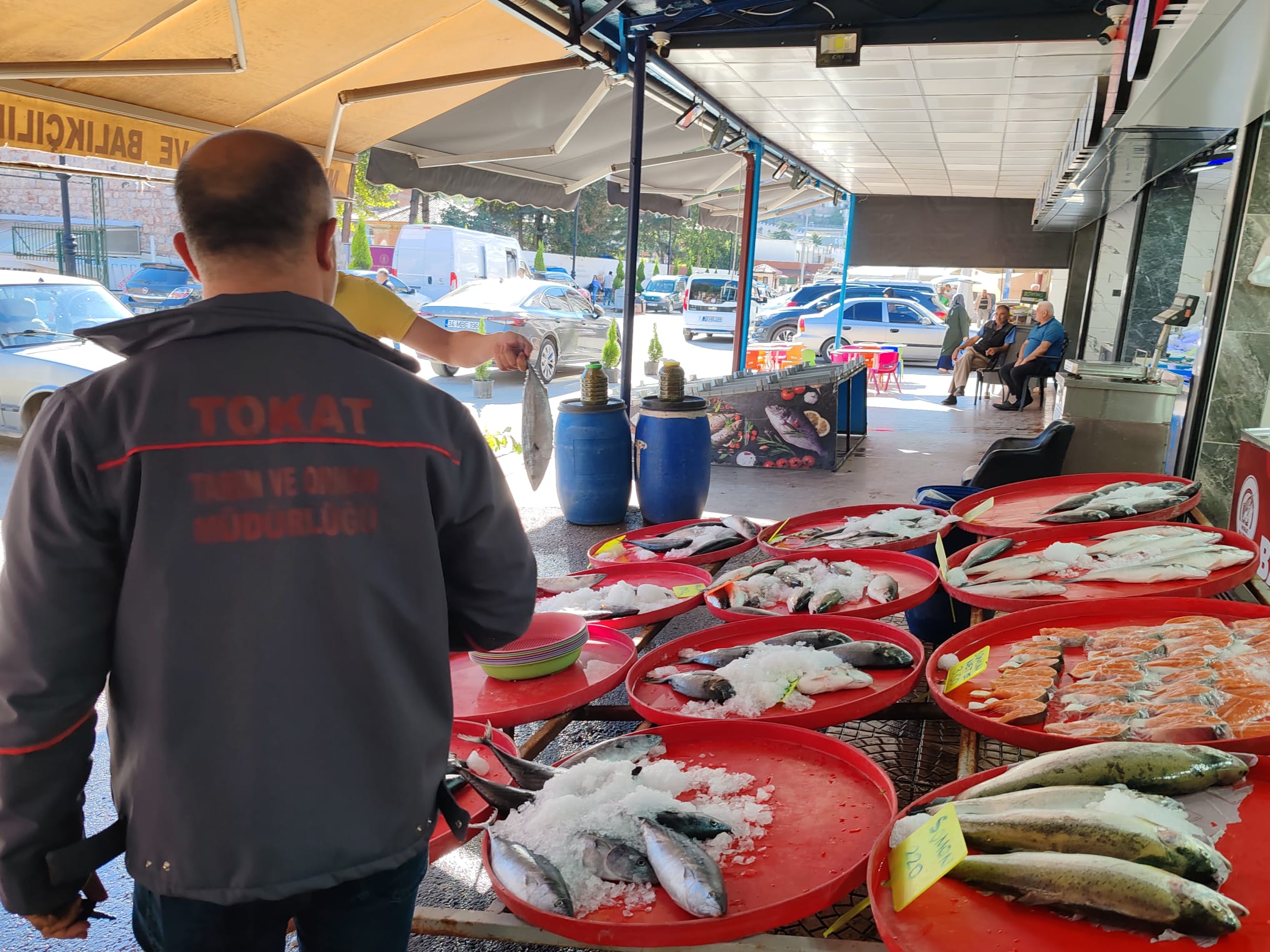 462714076 862643642653380 3138447266152312597 N