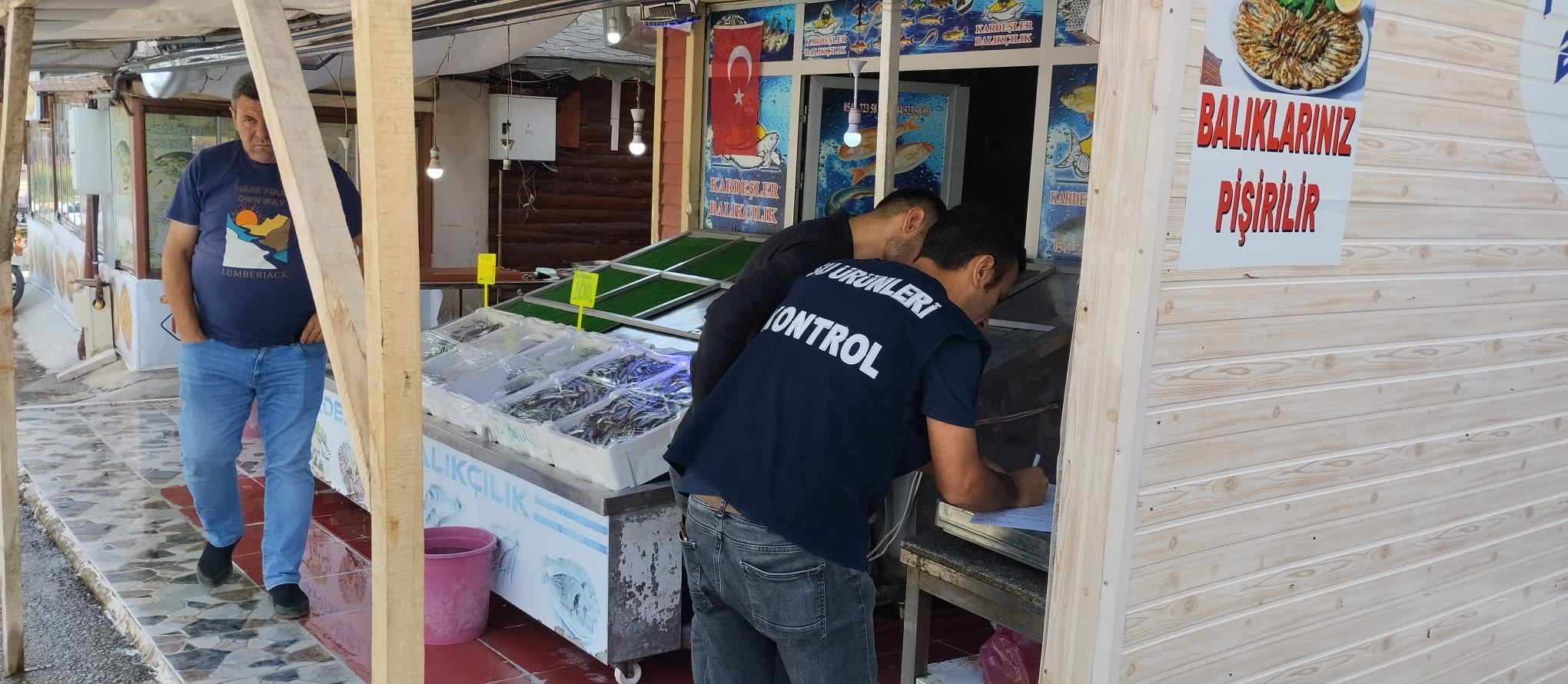 462719067 862643802653364 229138921183848630 N