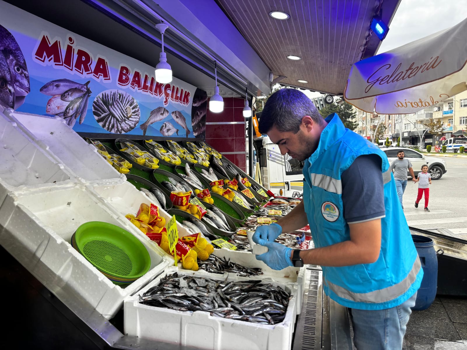 462734088 862643779320033 264622648630801676 N