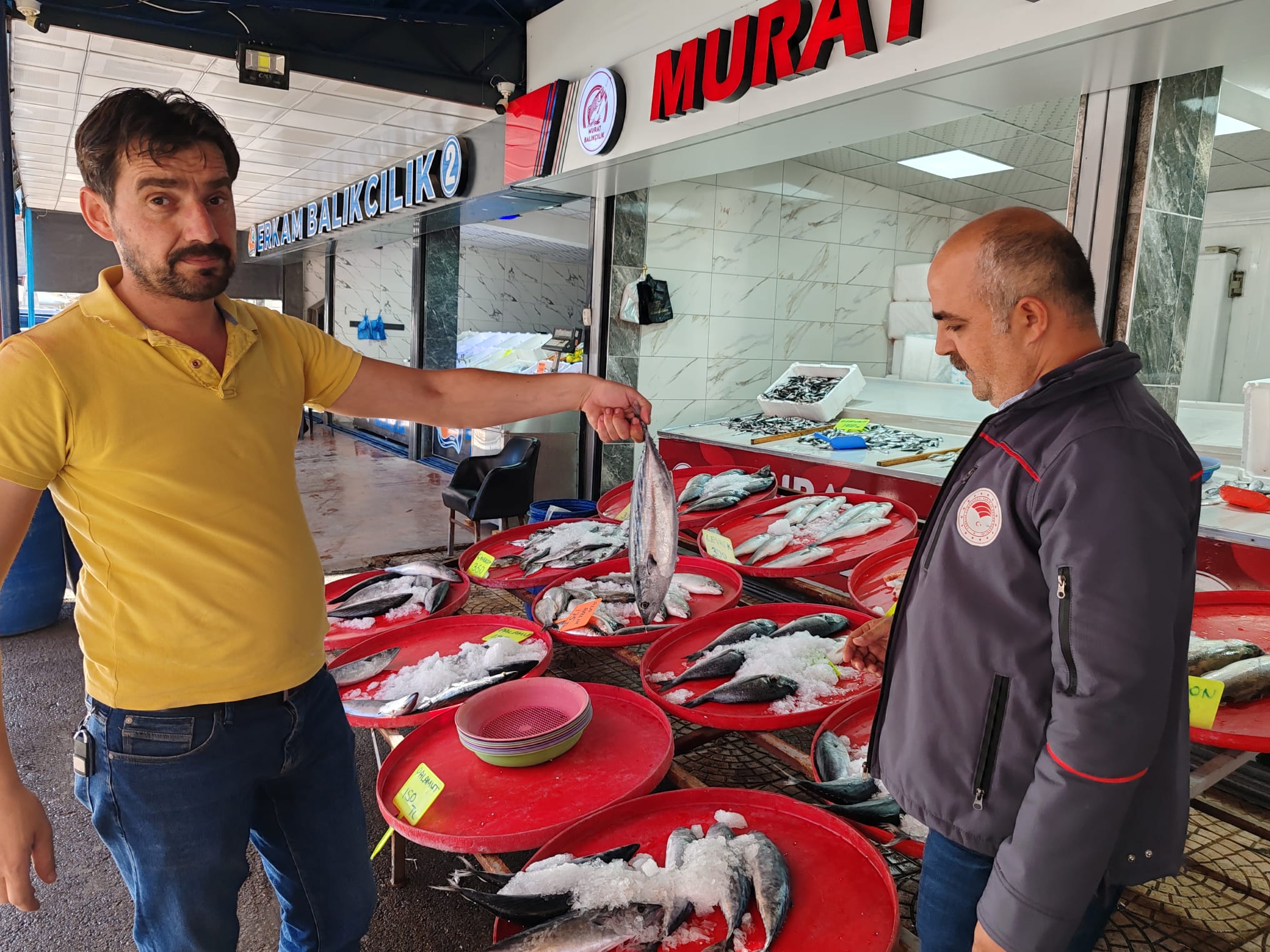 462755437 862643692653375 7018348688606801918 N