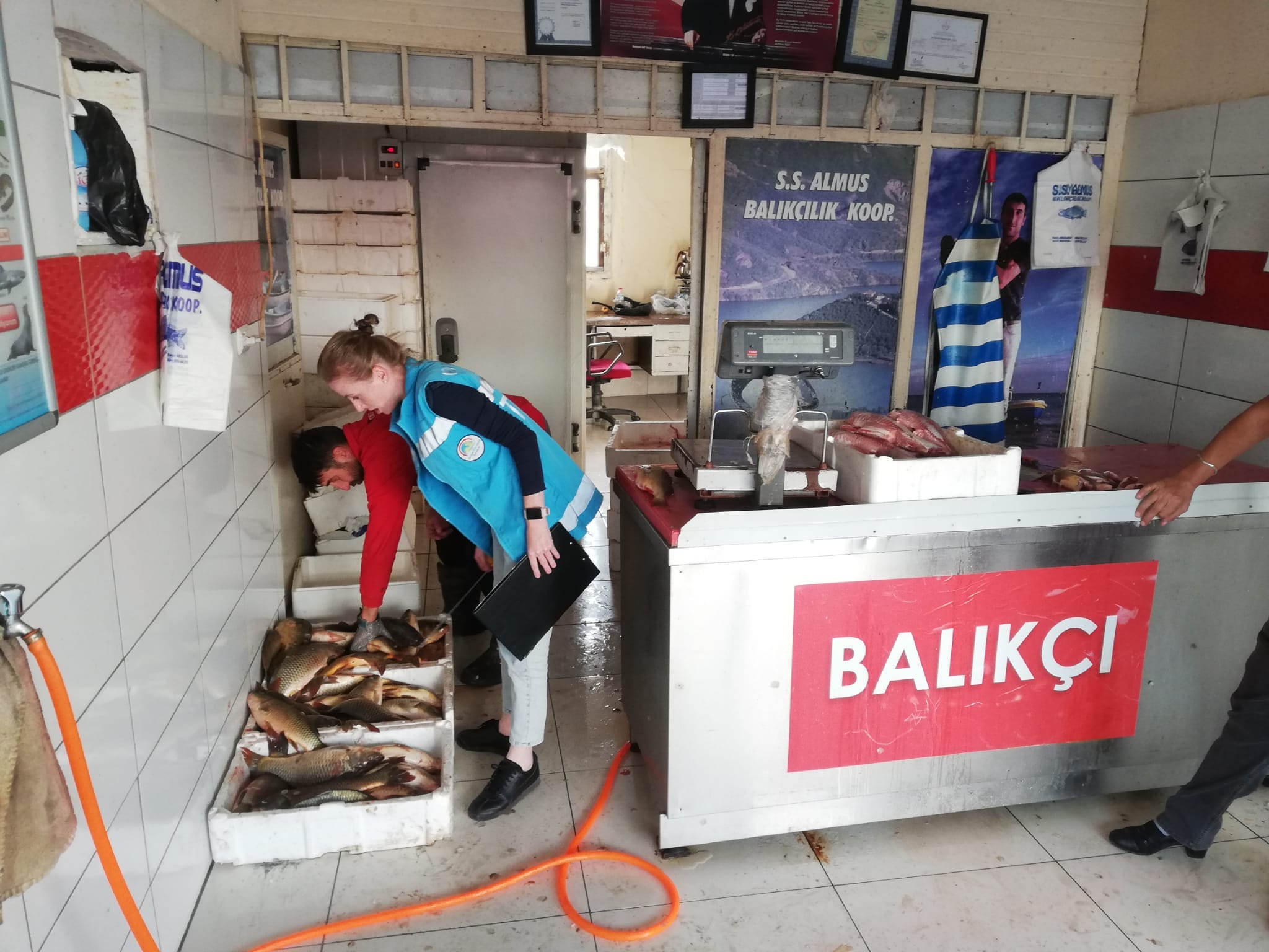 462771525 862643719320039 1382559667491769204 N