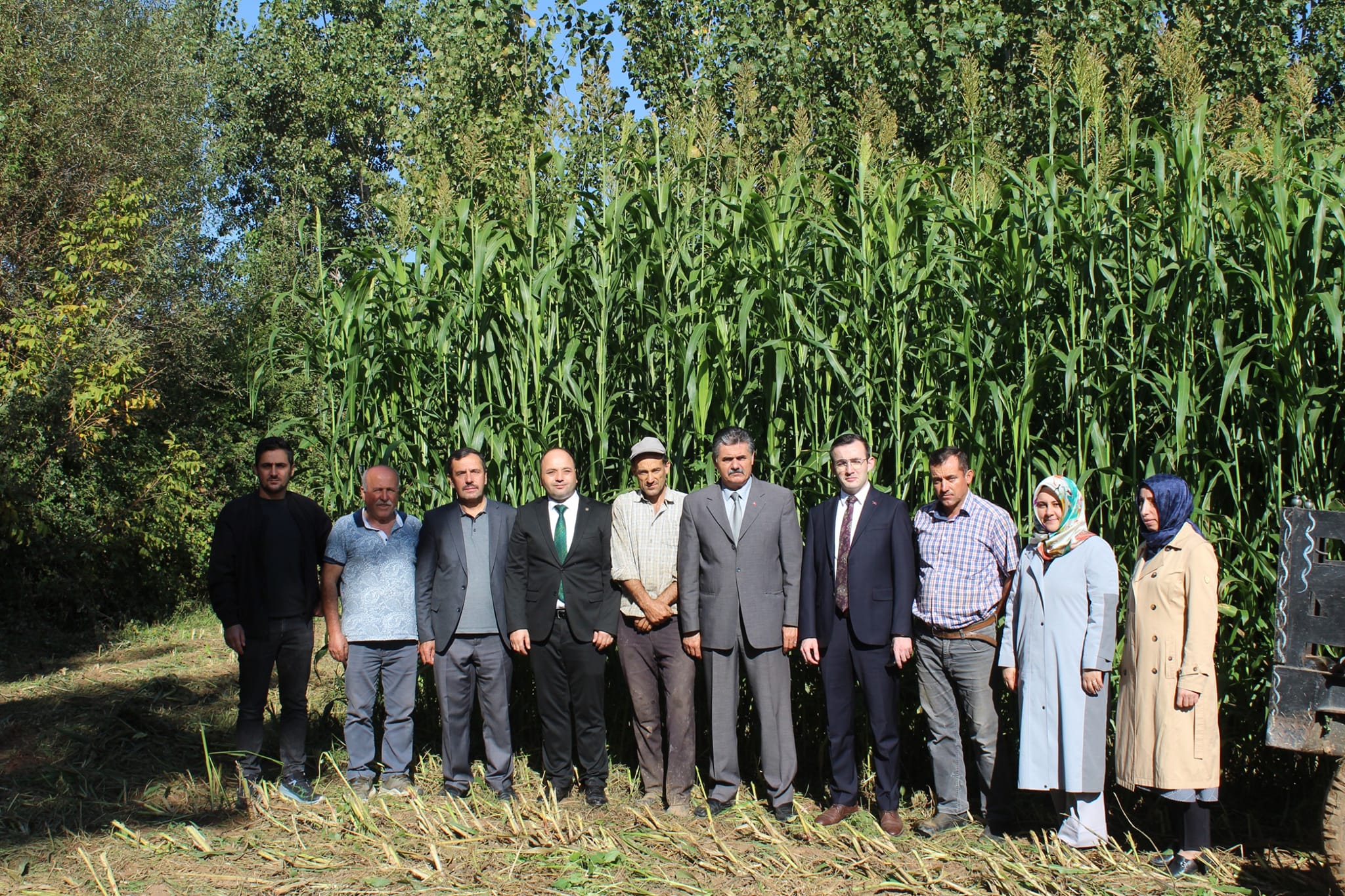 Sorgum Sudan Otu Hasadı Gerçekleşti (9)