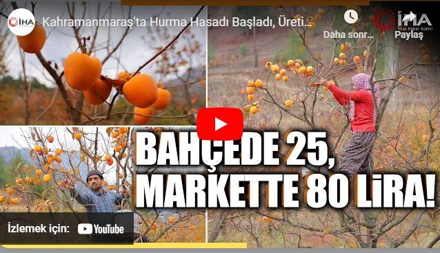 Cennet Hurması üreticide 25, markette 80 TL!