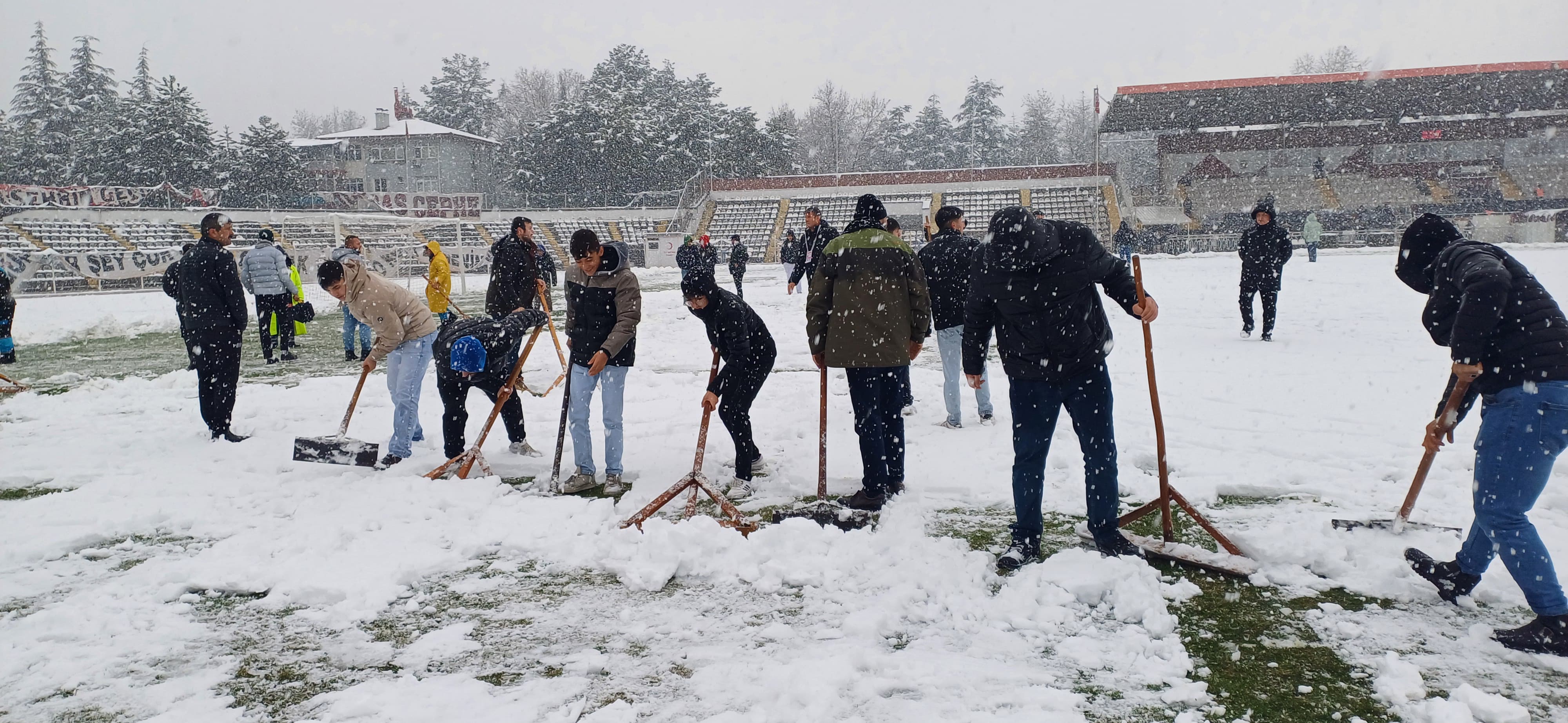 Whatsapp Image 2024 11 25 At 10.39.47