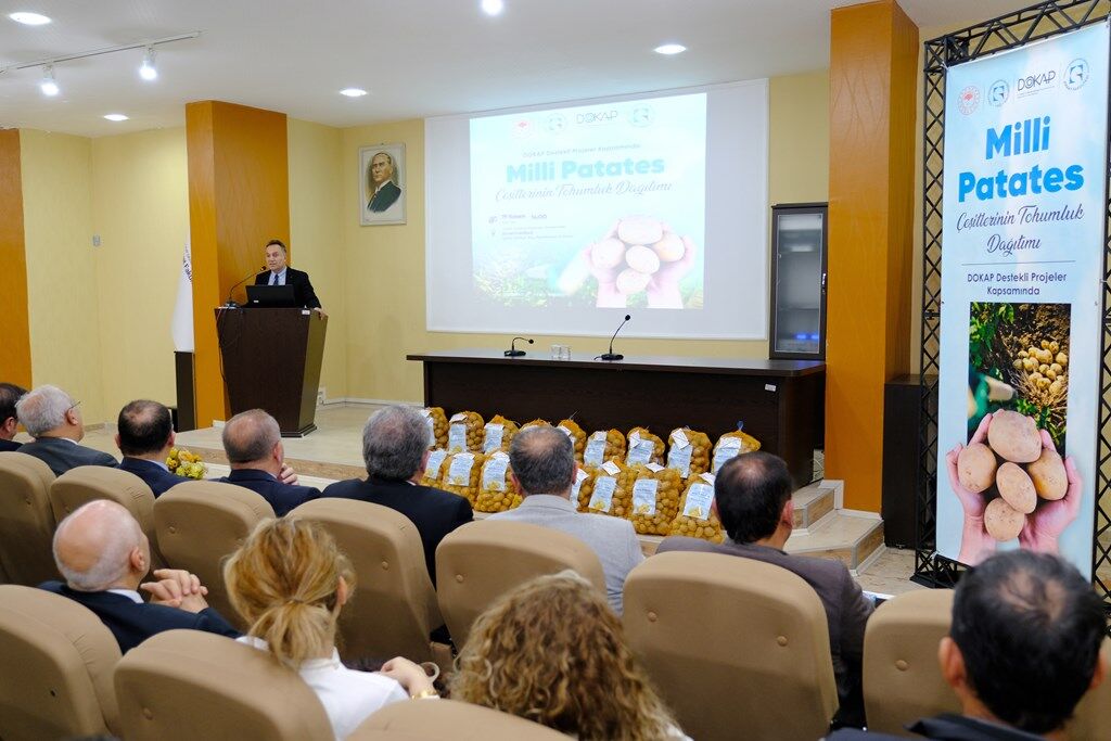 Whatsapp Image 2024 12 12 At 08.32.05