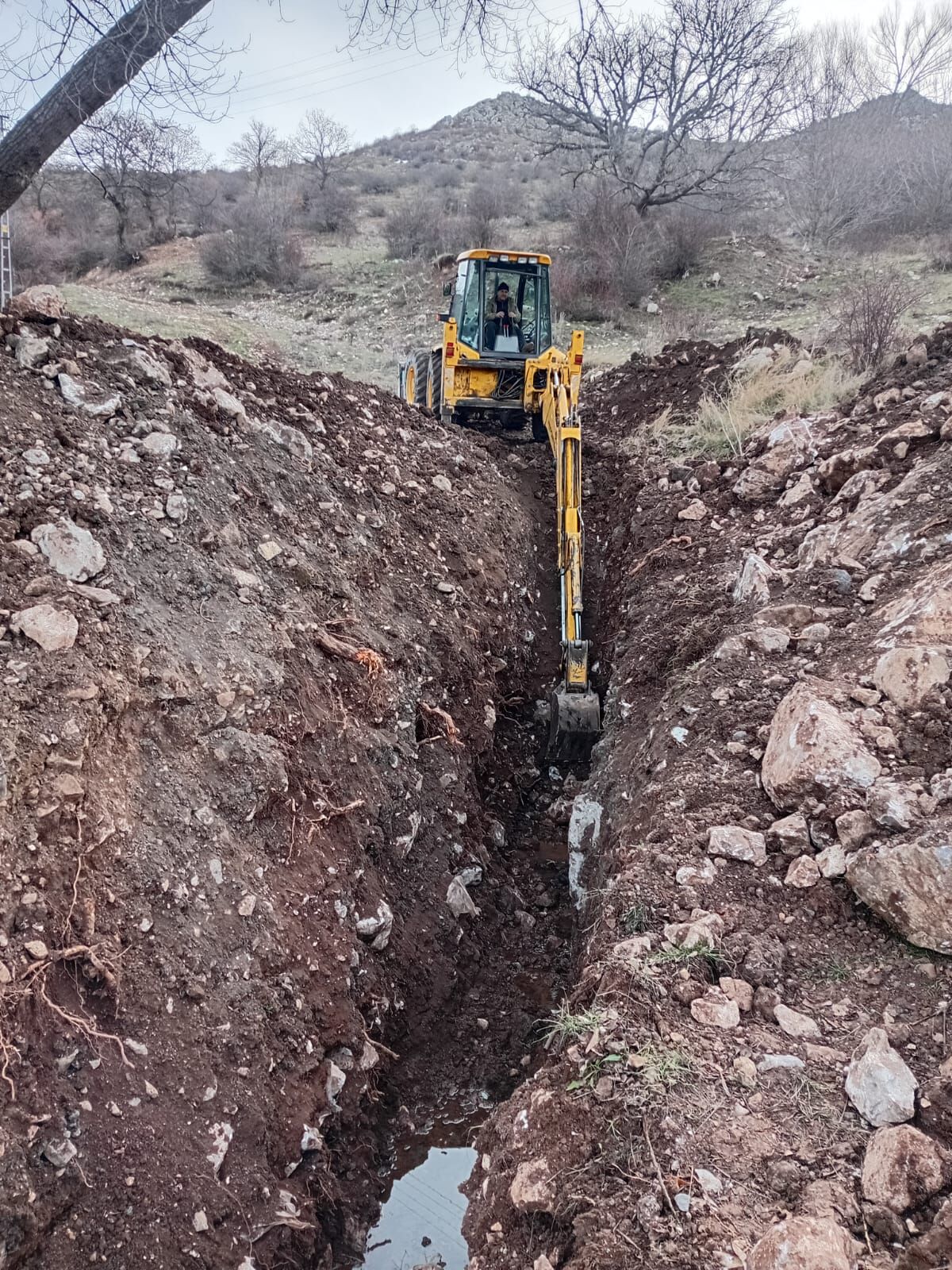 Whatsapp Image 2024 12 12 At 11.10.38