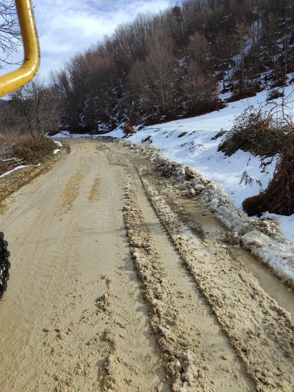 Whatsapp Image 2024 12 12 At 11.12.26