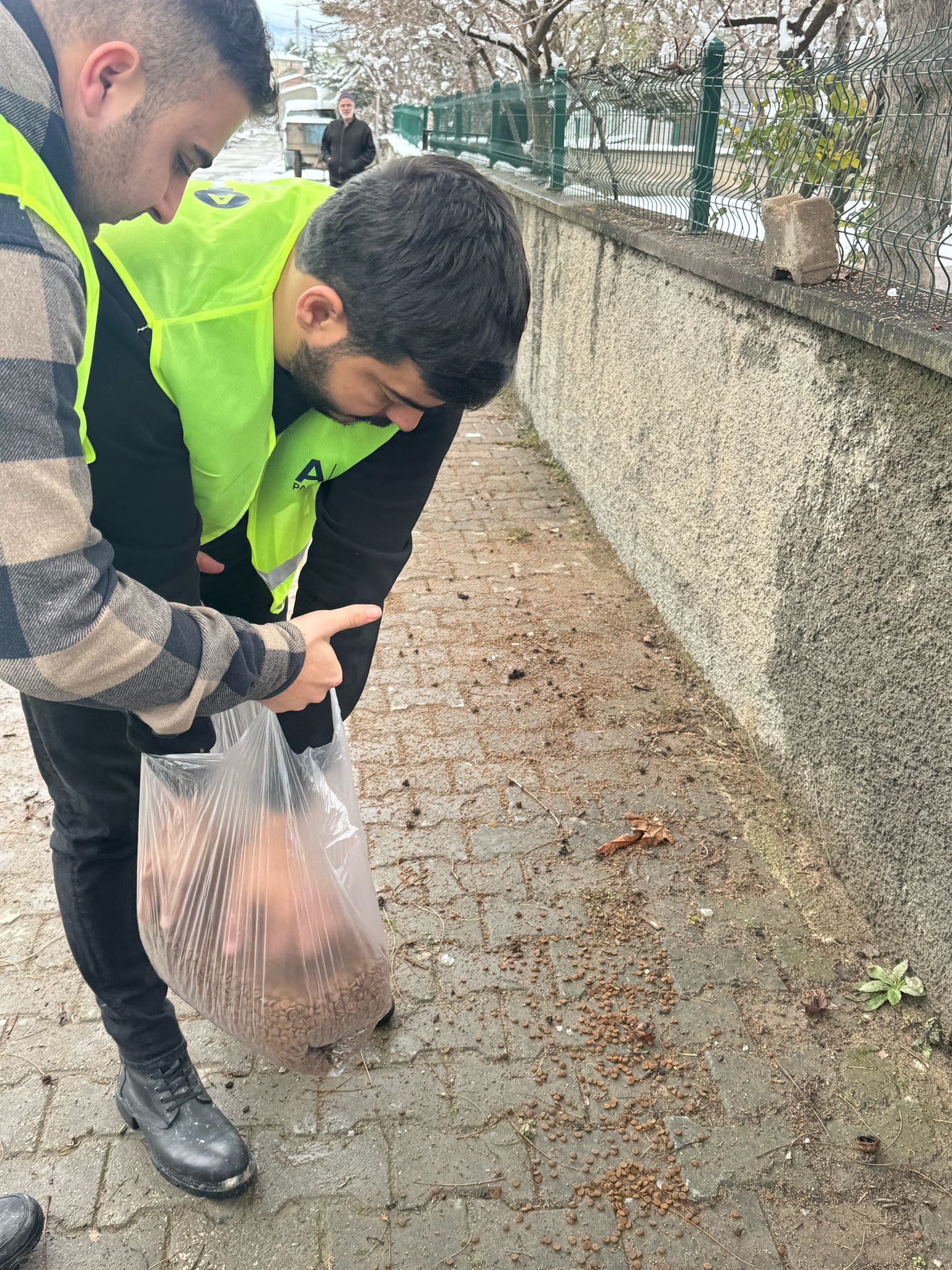 Anahtar Parti Pazar İlçe Başkanlığı Sokak Hayvanlarını Unutmadı (3)