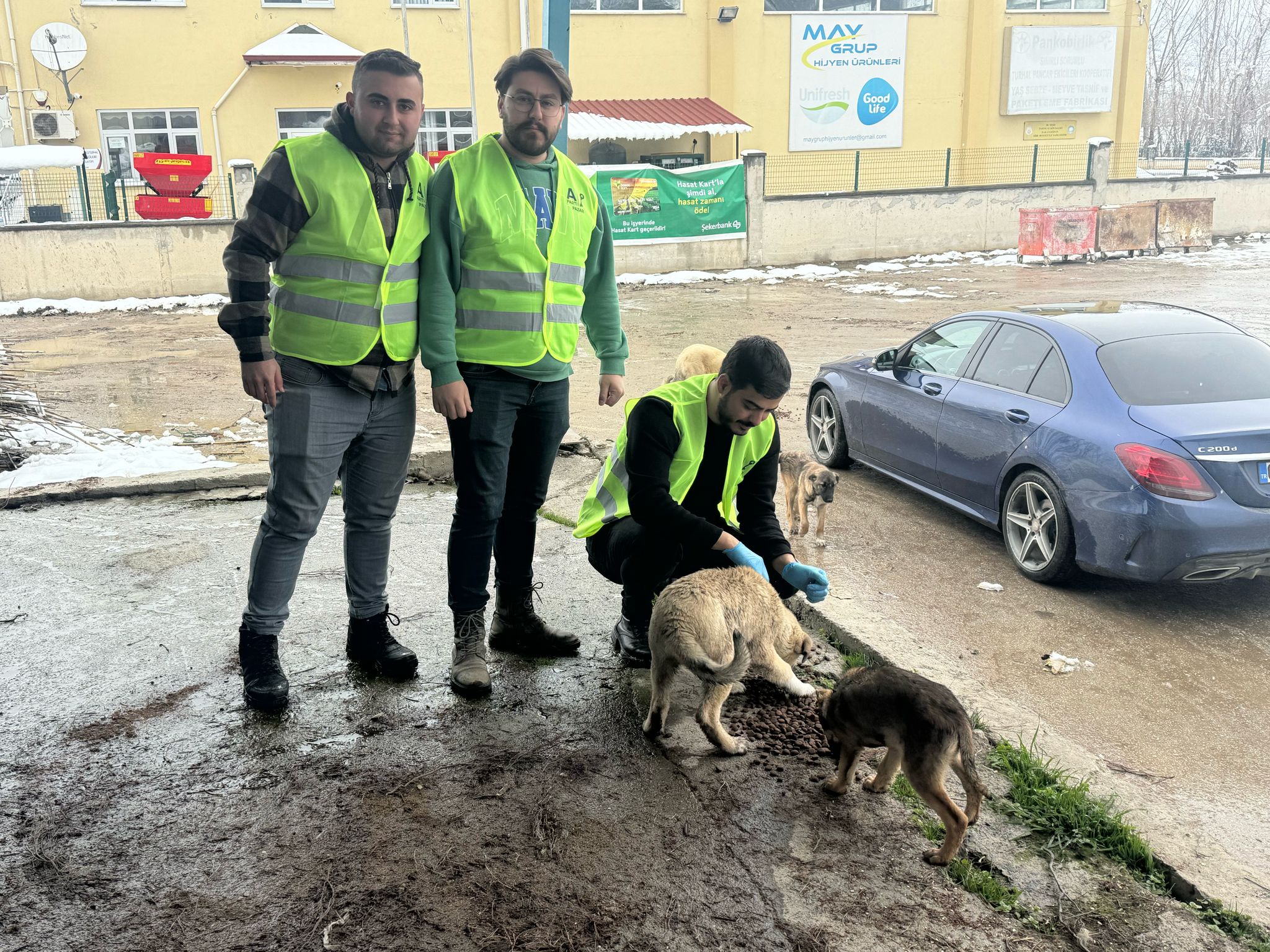 Anahtar Parti Pazar İlçe Başkanlığı Sokak Hayvanlarını Unutmadı (4)