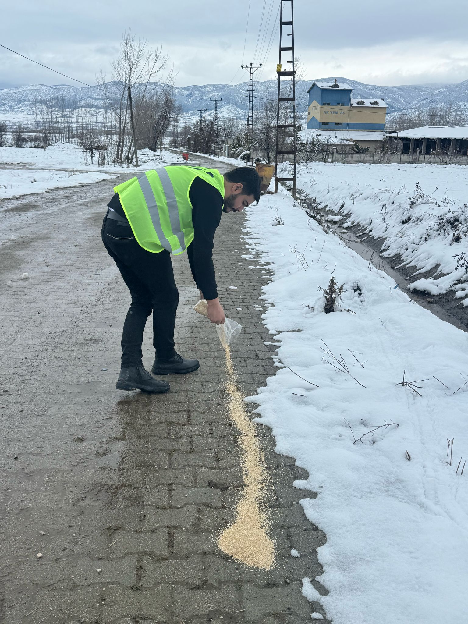 Anahtar Parti Pazar İlçe Başkanlığı Sokak Hayvanlarını Unutmadı (7)