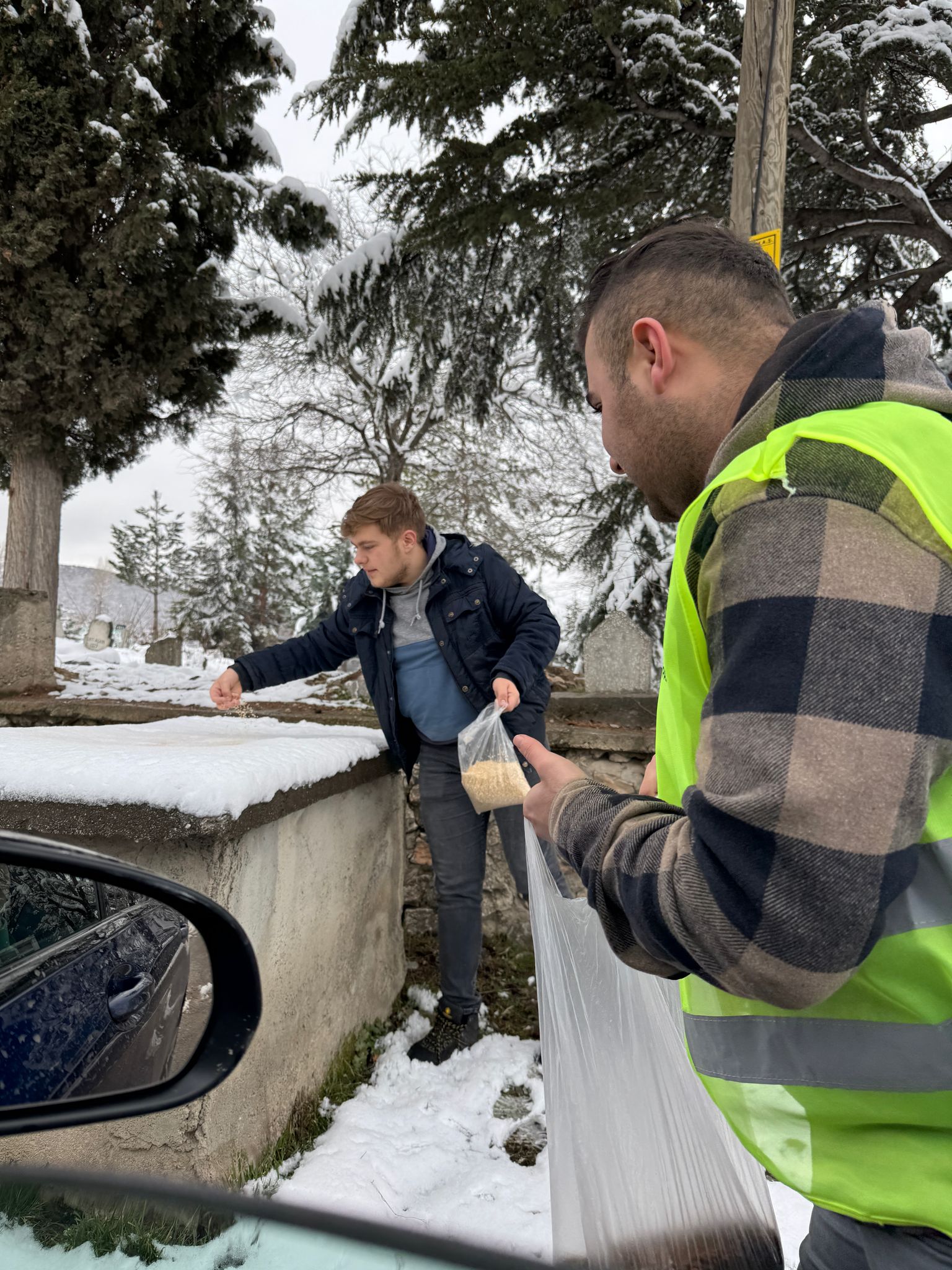 Anahtar Parti Pazar İlçe Başkanlığı Sokak Hayvanlarını Unutmadı (8)