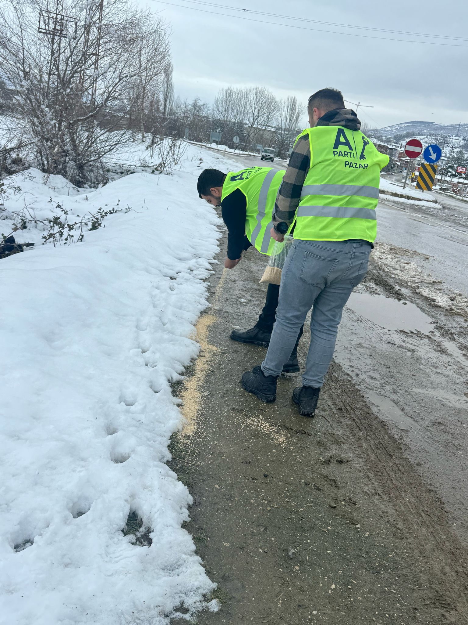 Anahtar Parti Pazar İlçe Başkanlığı Sokak Hayvanlarını Unutmadı (9)