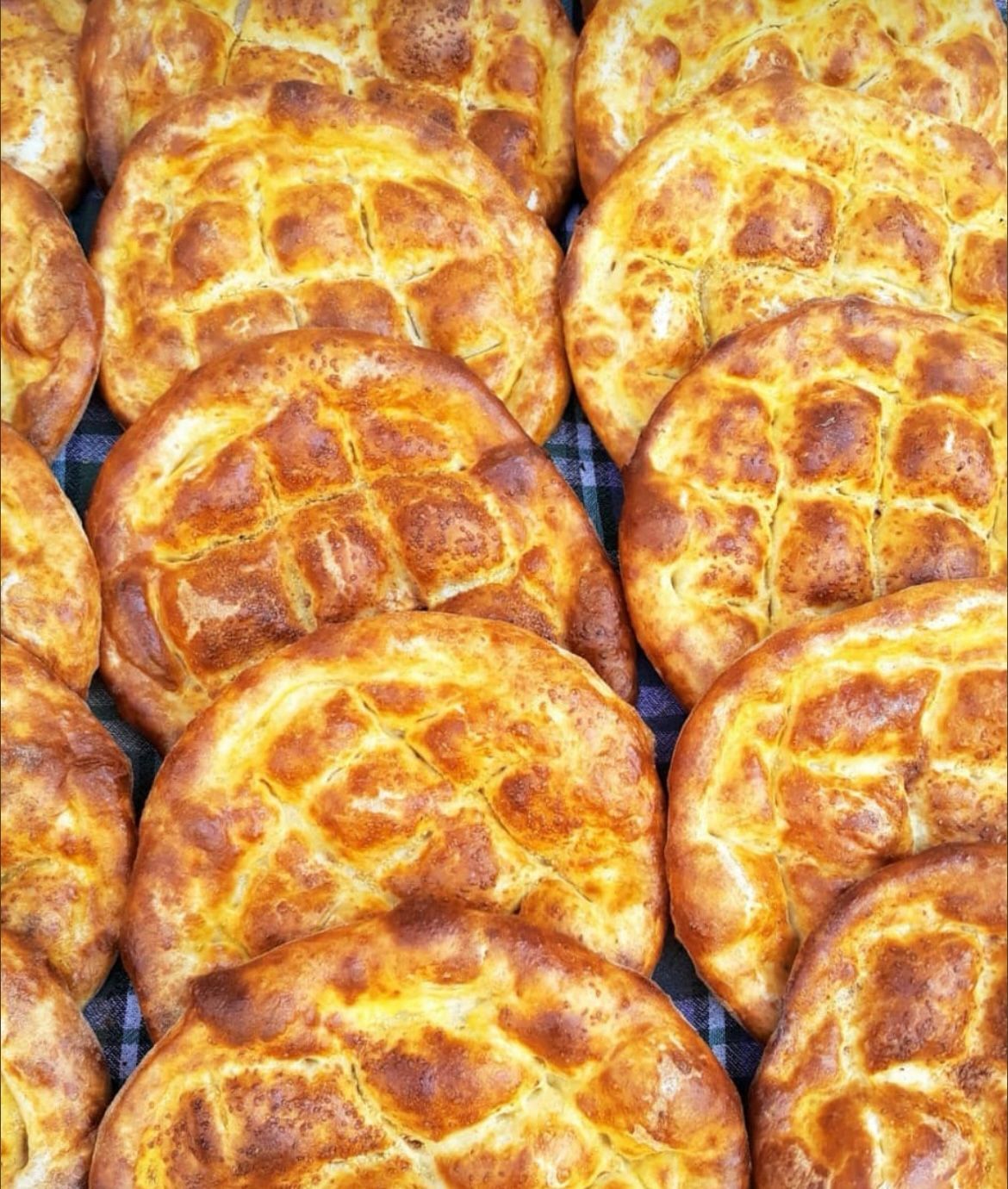 Whatsapp Image 2025 03 02 At 01.50.20(1)