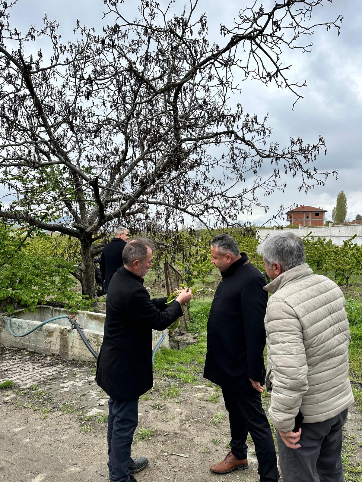 İyi̇ Parti Tokat İl Başkanı Erkan Er, Don Zararı Yaşayan Çiftçilerin Yanında (3)