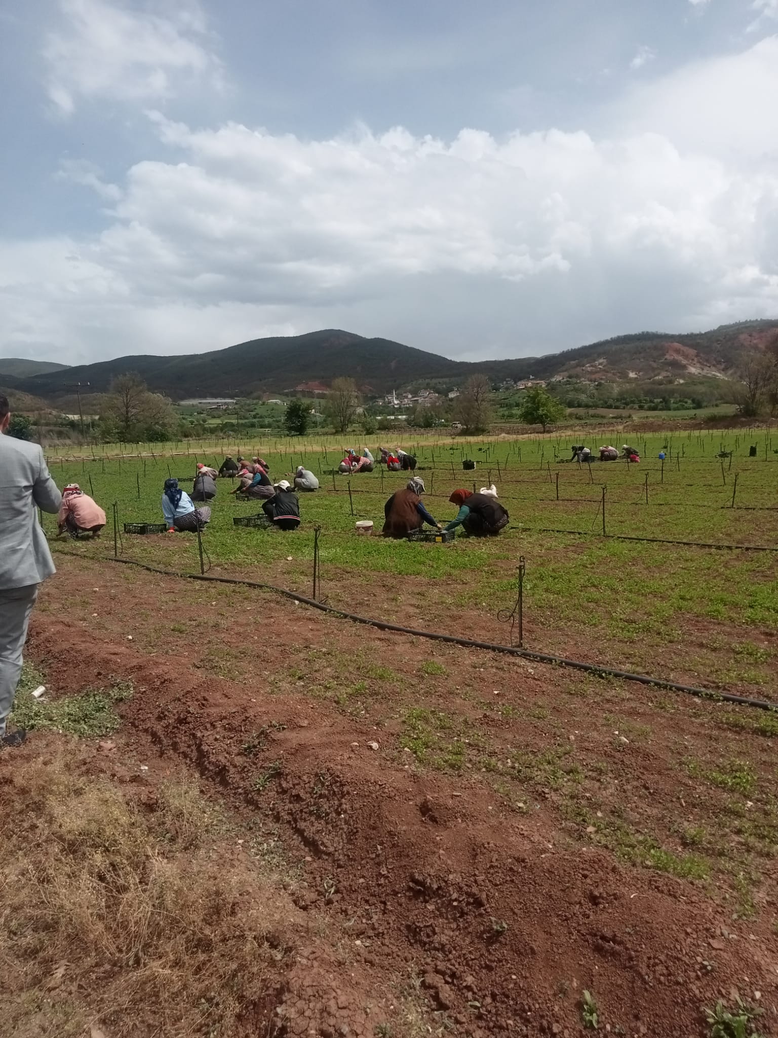 A Parti Genel Başkan Yardımcısı Hasan Hüseyin Demiröz (3)