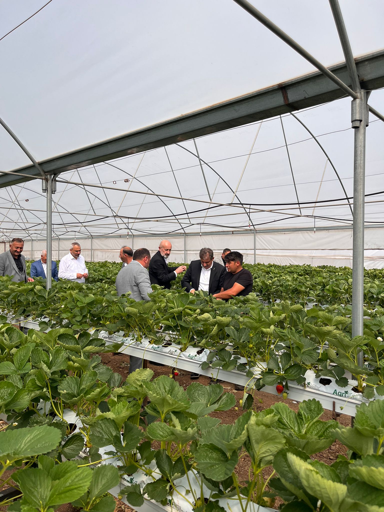 A Parti Genel Başkan Yardımcısı Hasan Hüseyin Demiröz (5)