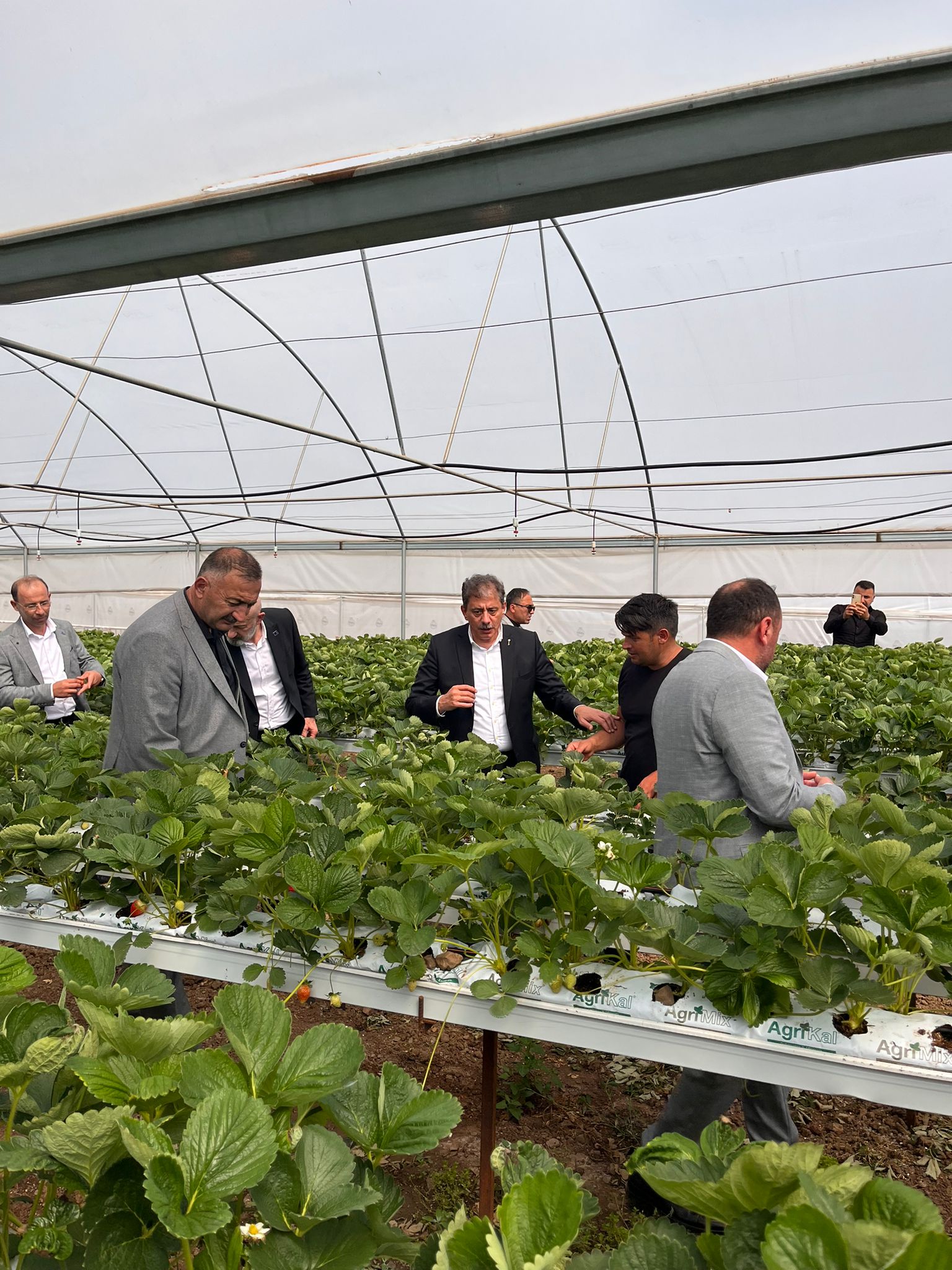 A Parti Genel Başkan Yardımcısı Hasan Hüseyin Demiröz (7)