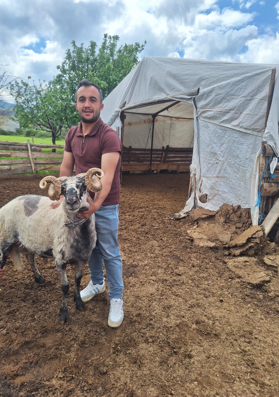 Tokat’ta Yüzyıllık 'Gelin Koçu' Geleneği Bu Yıl Da Yaşatılacak (4)