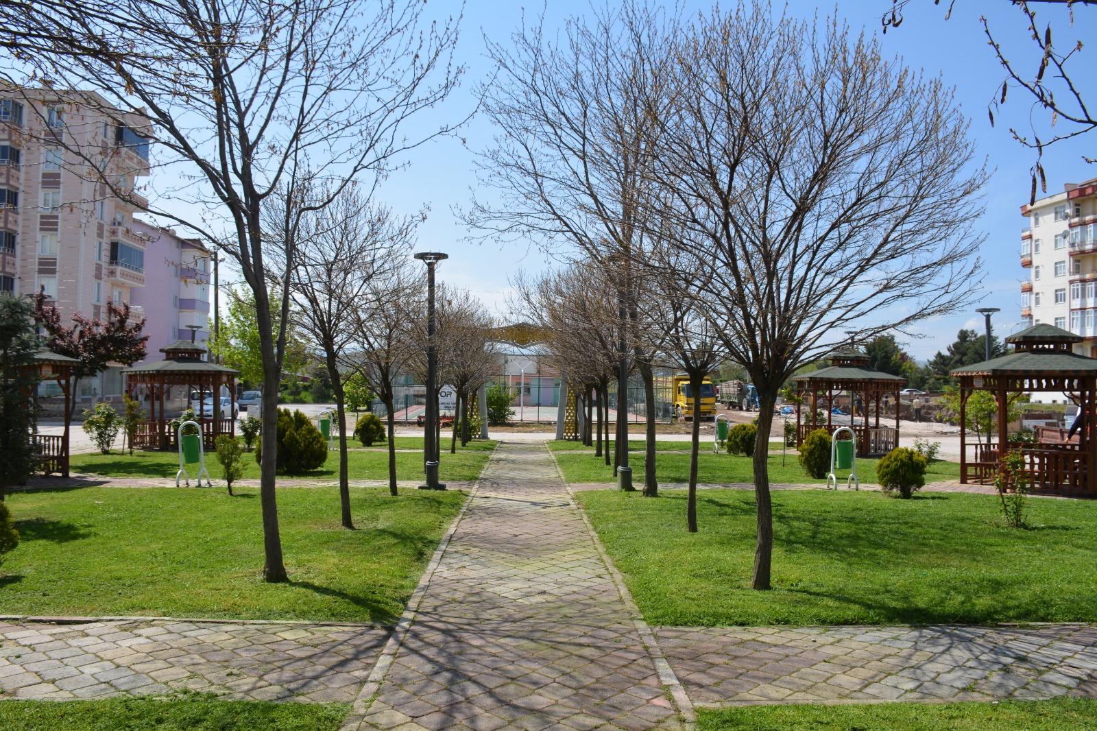 Zile Belediyesi, Yeşil Alanların Bakımı Ile İlçenin Estetiğine Katkı Sağlıyor (1)