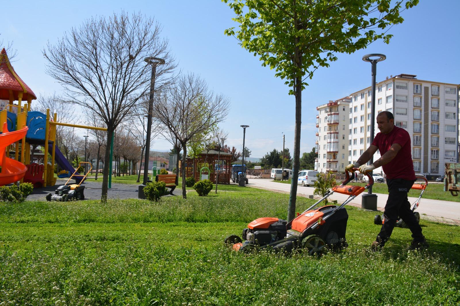 Zile Belediyesi, Yeşil Alanların Bakımı Ile İlçenin Estetiğine Katkı Sağlıyor (5)