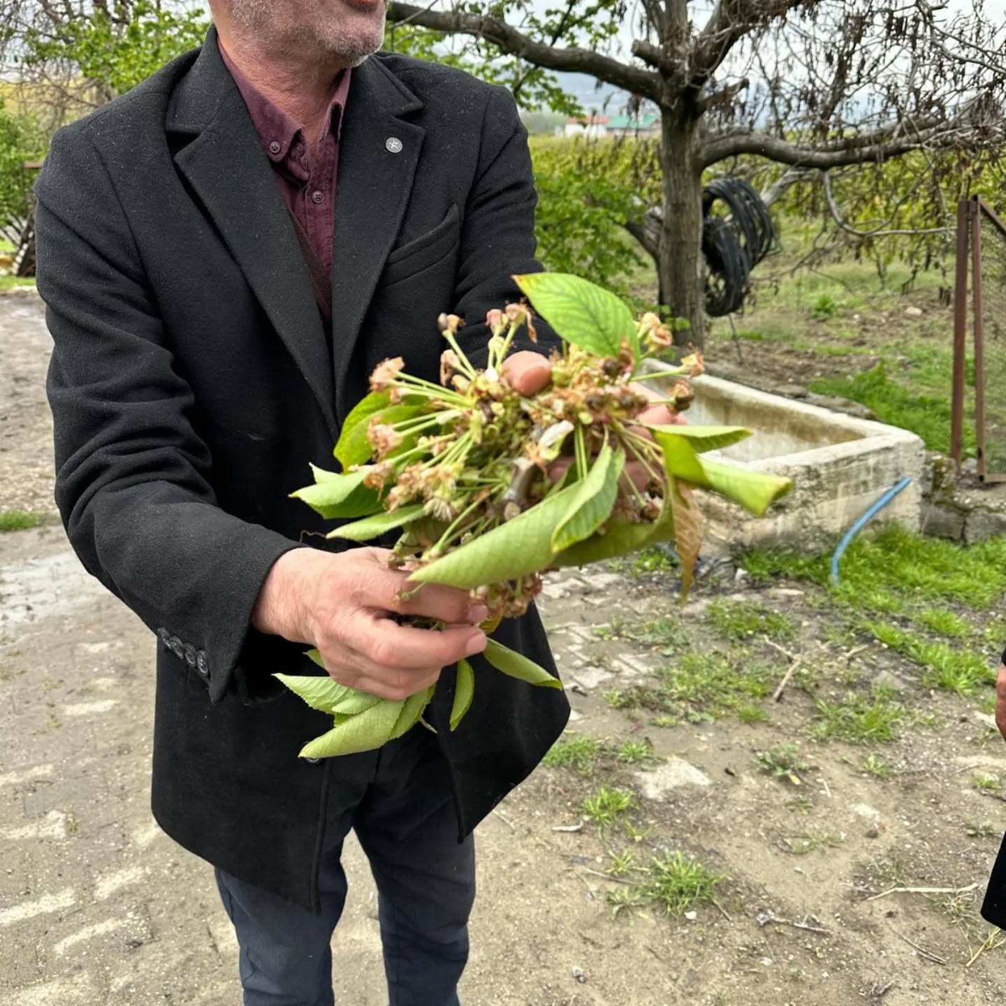 490471738 17966001374892840 4908505392177854279 N