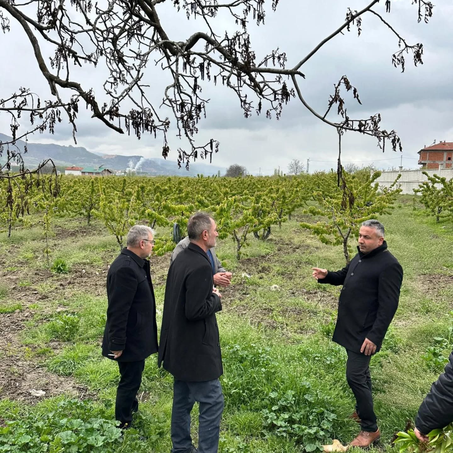 490749143 17966001401892840 5205560069700029579 N