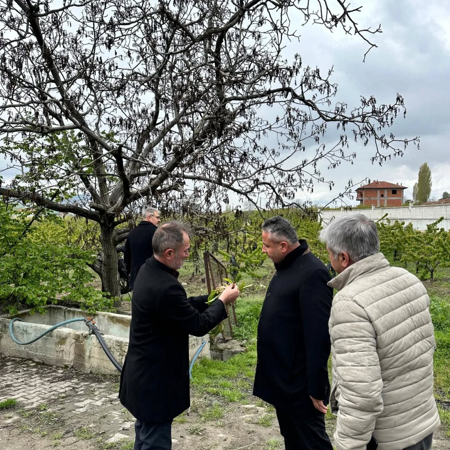 491460470 17966001410892840 6212732245359175141 N