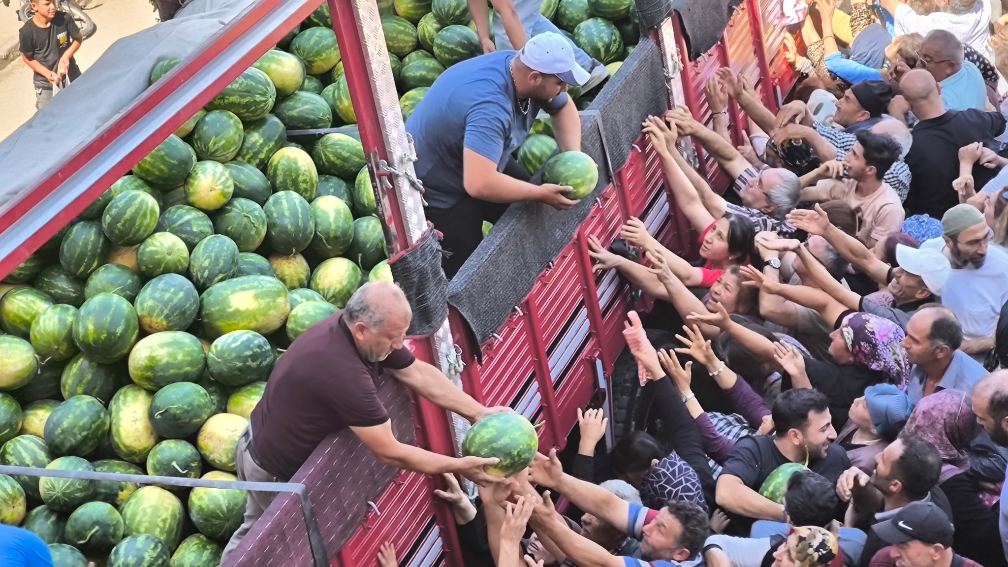 513805042 1147715990734496 2159772348649771264 N