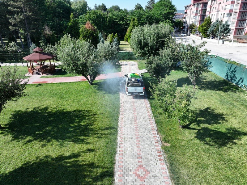 D J I 20250618072714 0008 D