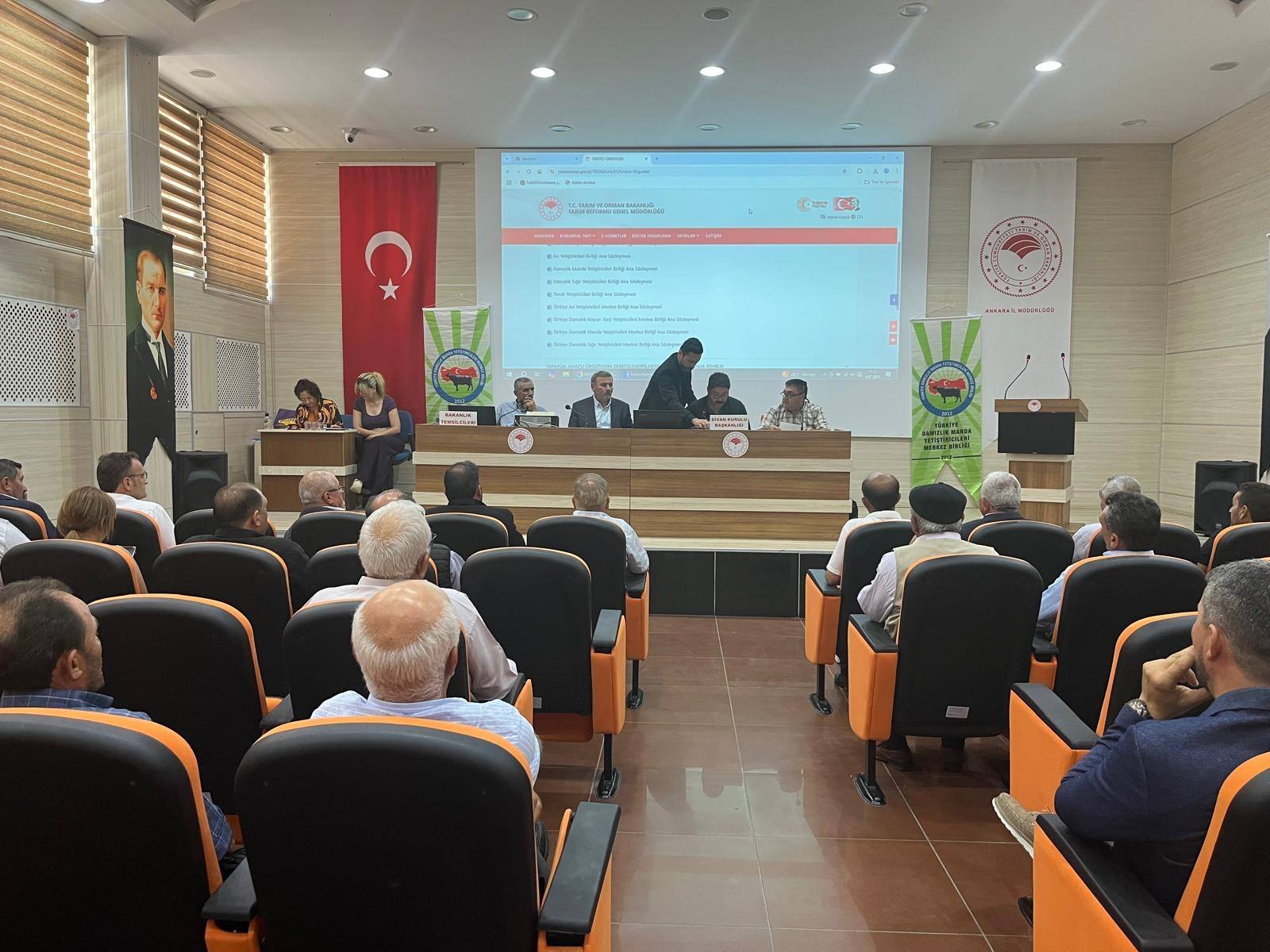 504430711 9886754814785647 5483501100054031476 N