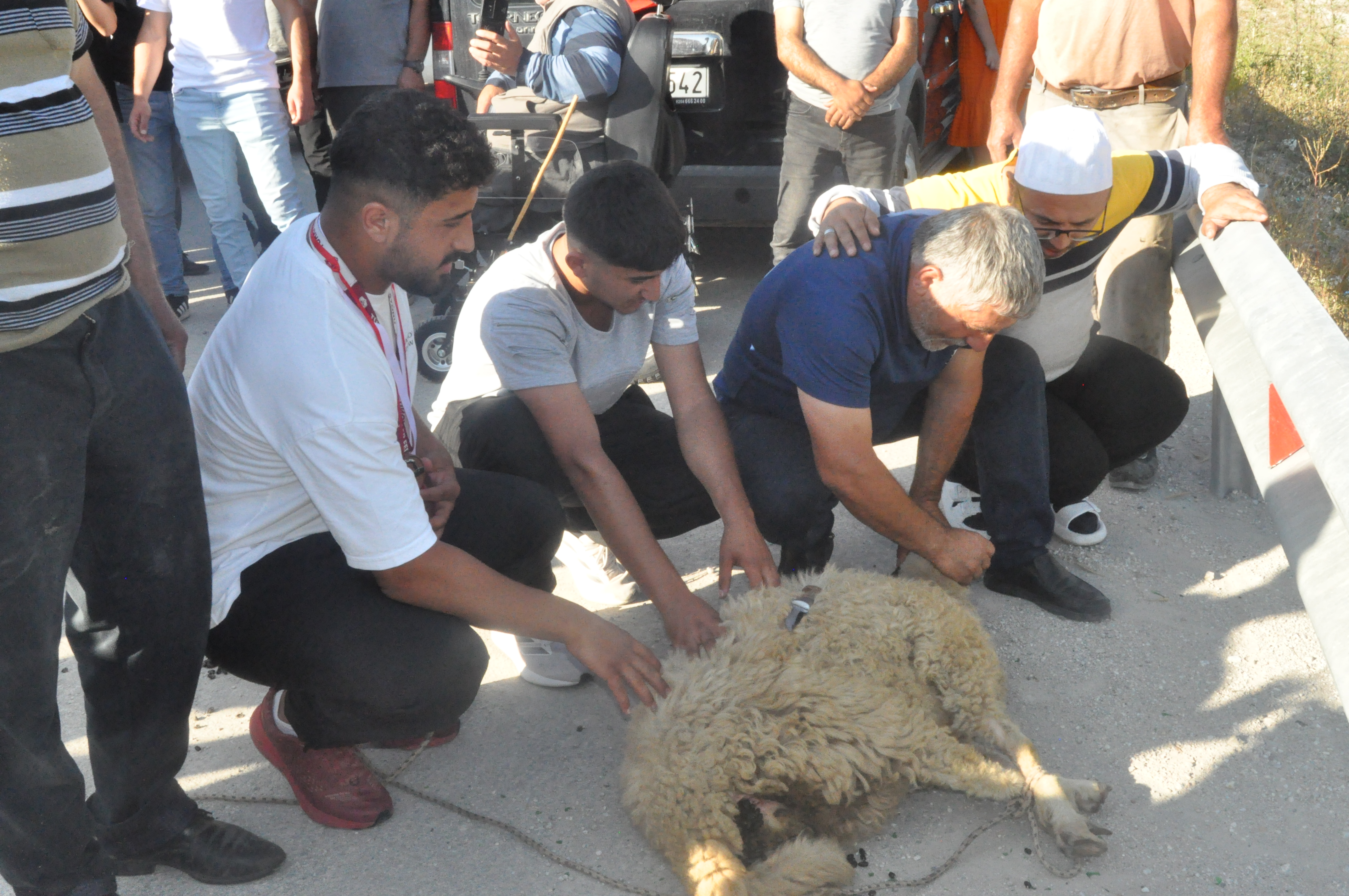 Tokatlı Alperen Düzenci, Kırkpınar’da Bronz Madalya Ile Gurur Yaşattı (10)