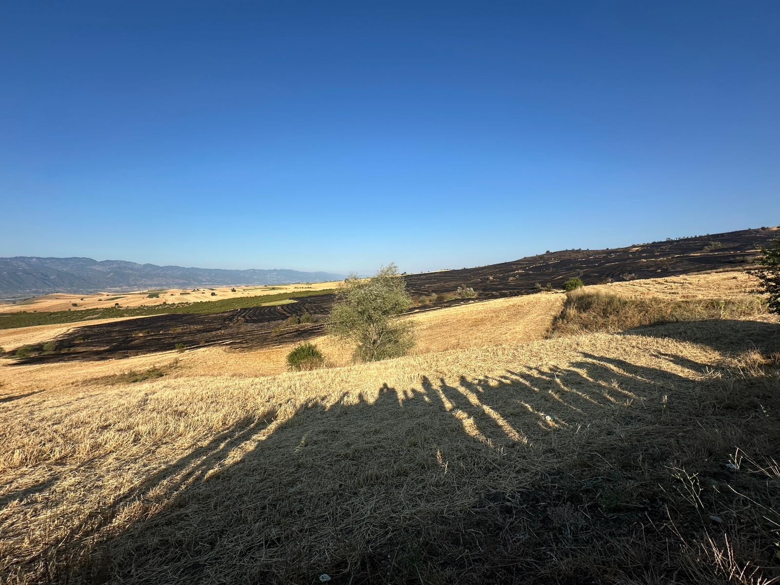 Whatsapp Görsel 2025 07 17 Saat 18.55.42 A0654Ba7