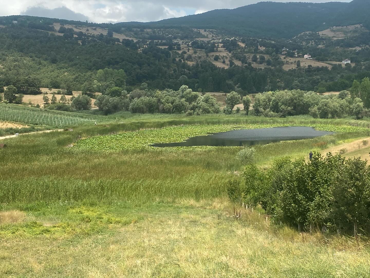 528576244 18120963970487111 1833197207111498318 N