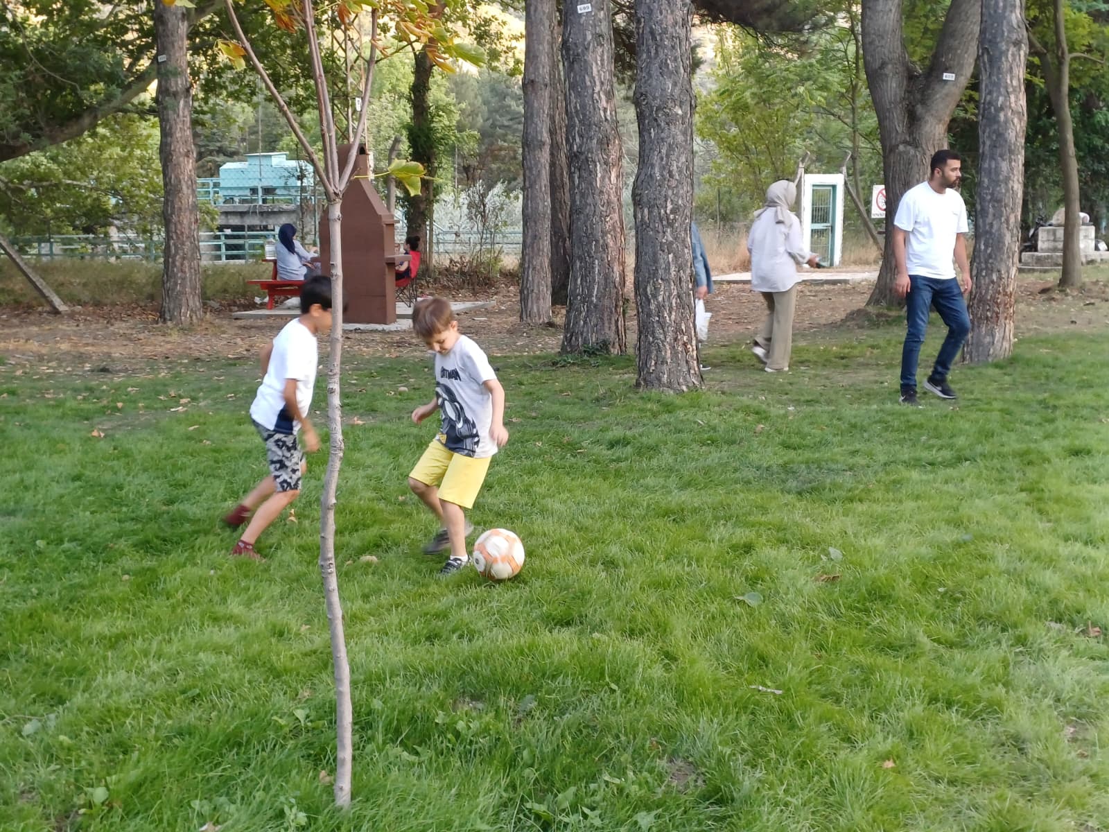 I M G 20250805 W A0043