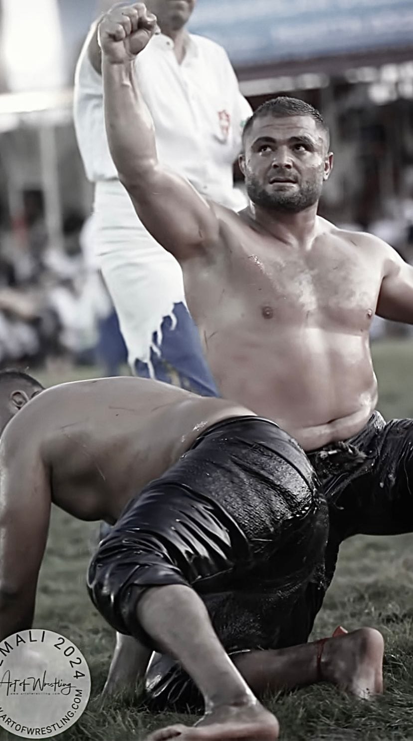 499372146 9475049509288645 4469532585089989552 N