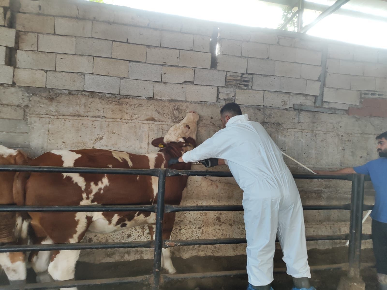 538566437 1091006143150461 4558271585231872621 N